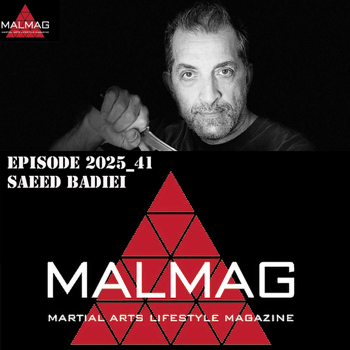 The Martial Arts Lifestyle Podcast