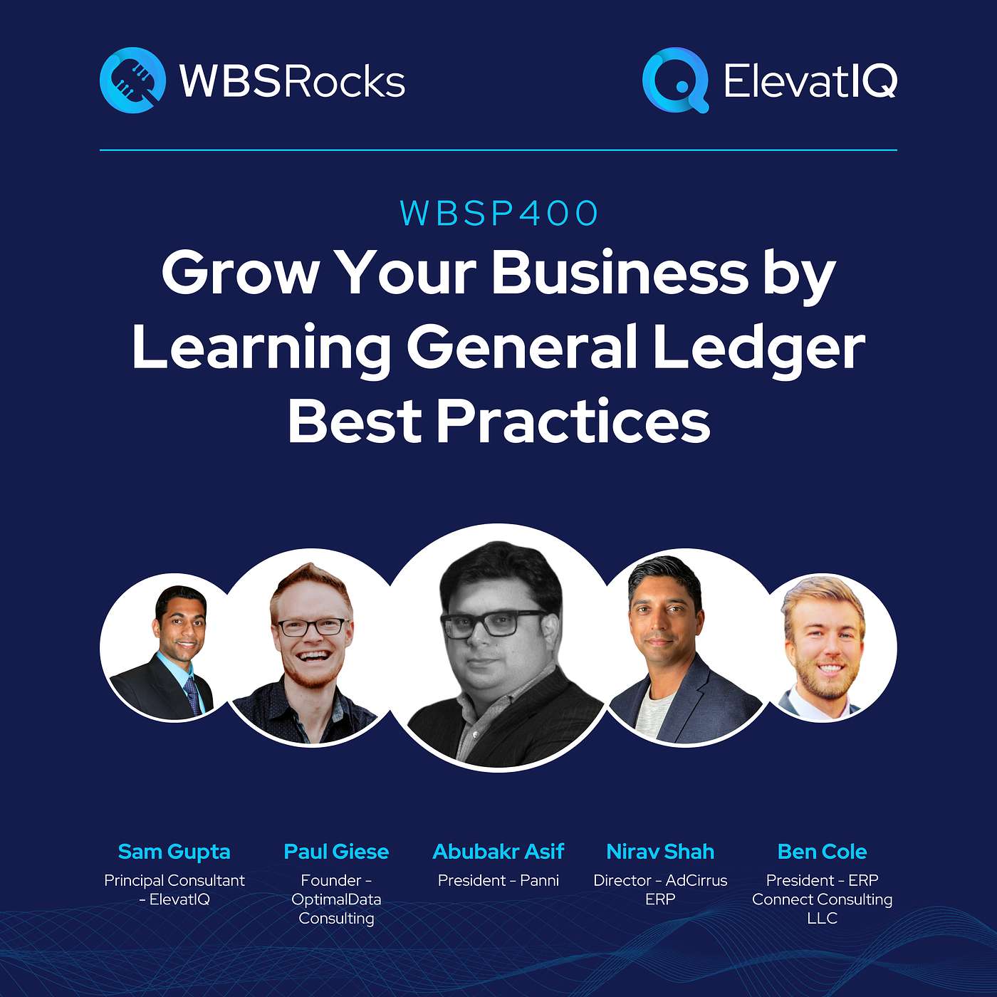 WBSRocks: Business Growth with Enterprise Software and Digital Transformation