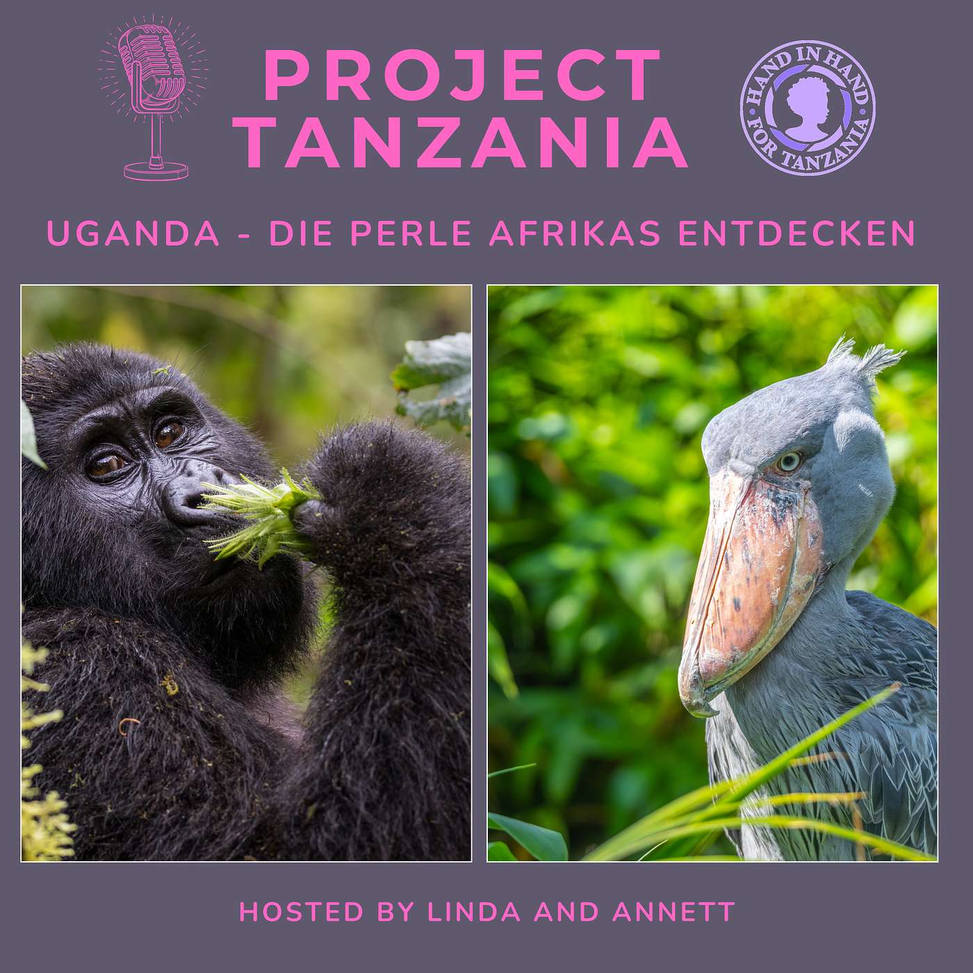 Project Tanzania