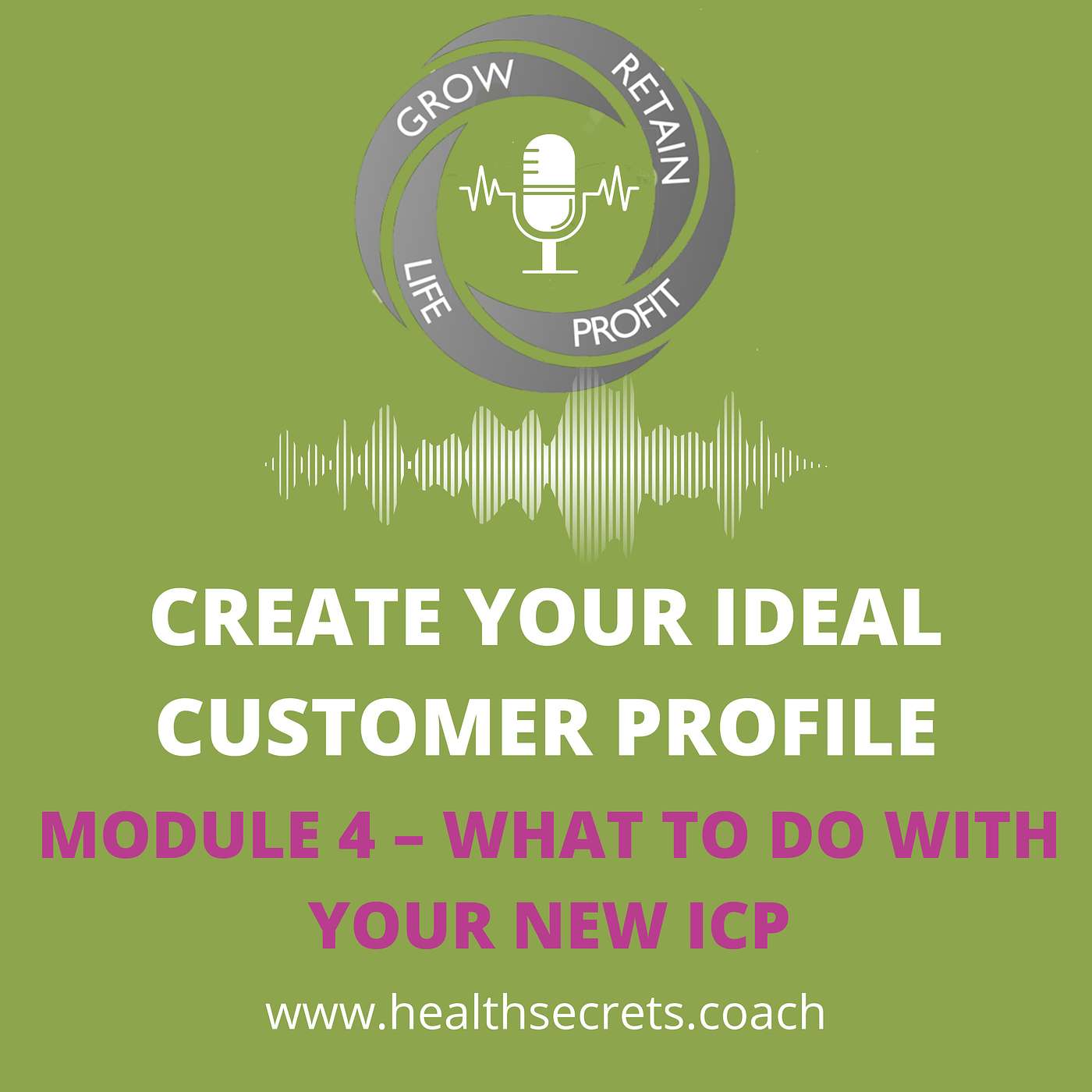 15. Create Your Ideal Patient Profile - Module 4 – What To Do with Your New ICP