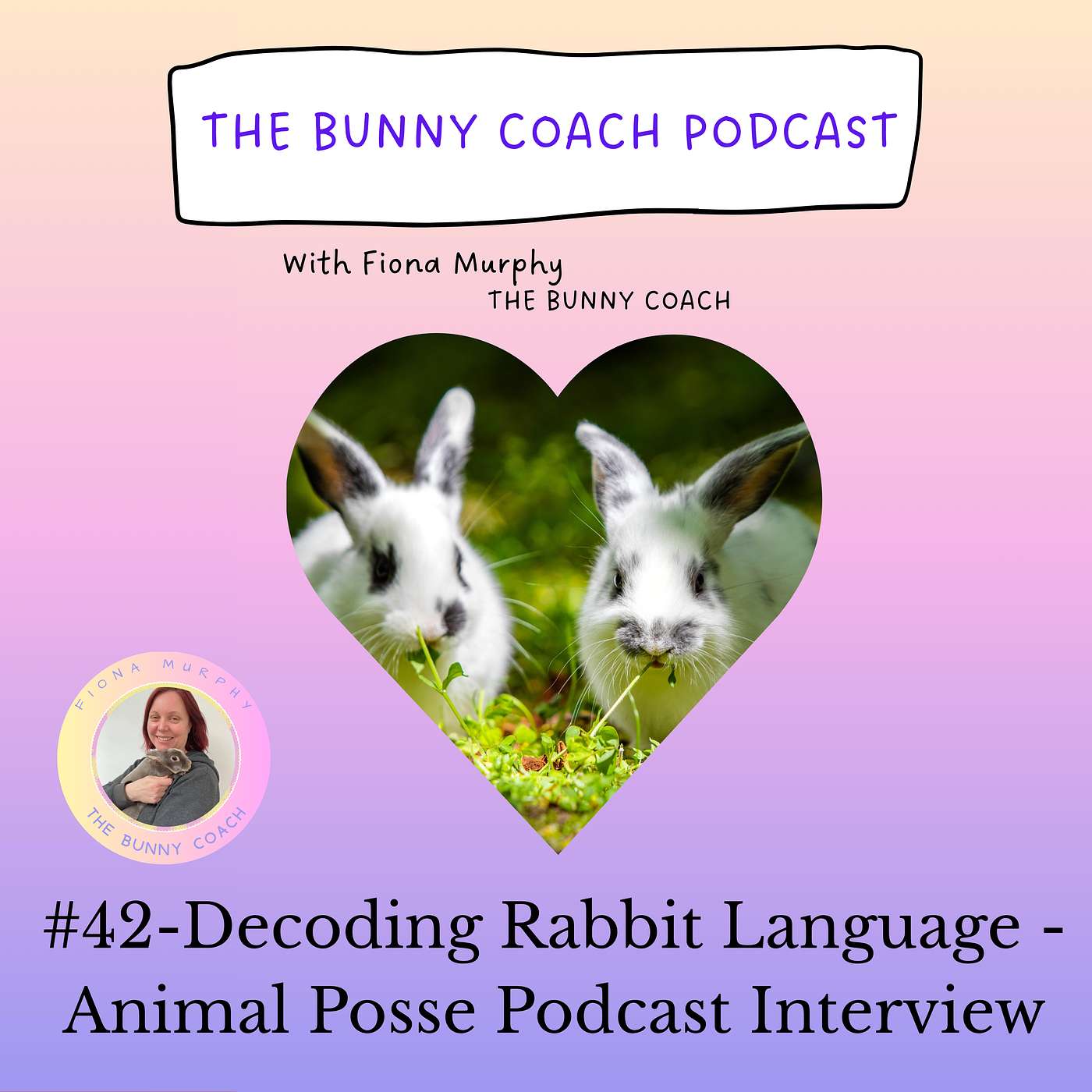 # 42  -  Decoding Rabbit Language: Expert Bonding Strategies - Animal Posse Podcast Interview episode artwork