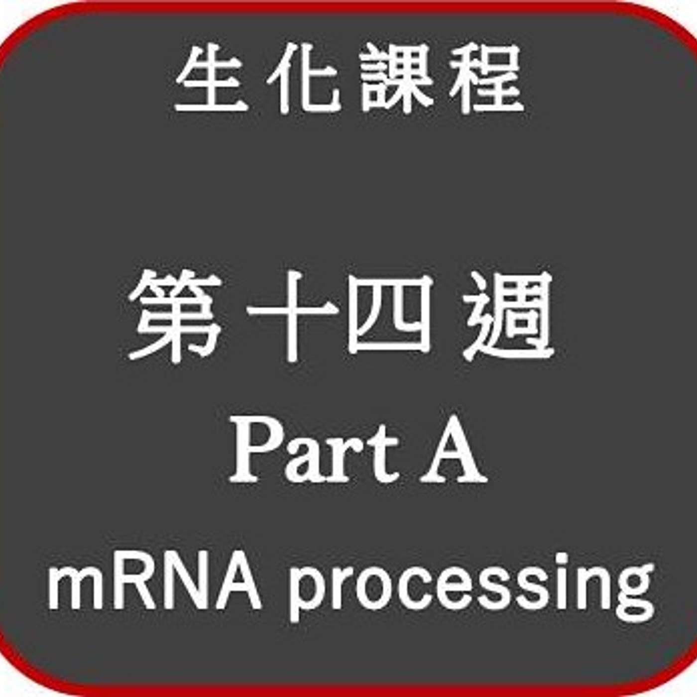 2021 生化課程 _第十四週_重點 Part A (mRNA processing) 2021 生化課程 _第十四週_重點 Part A (mRNA processing)