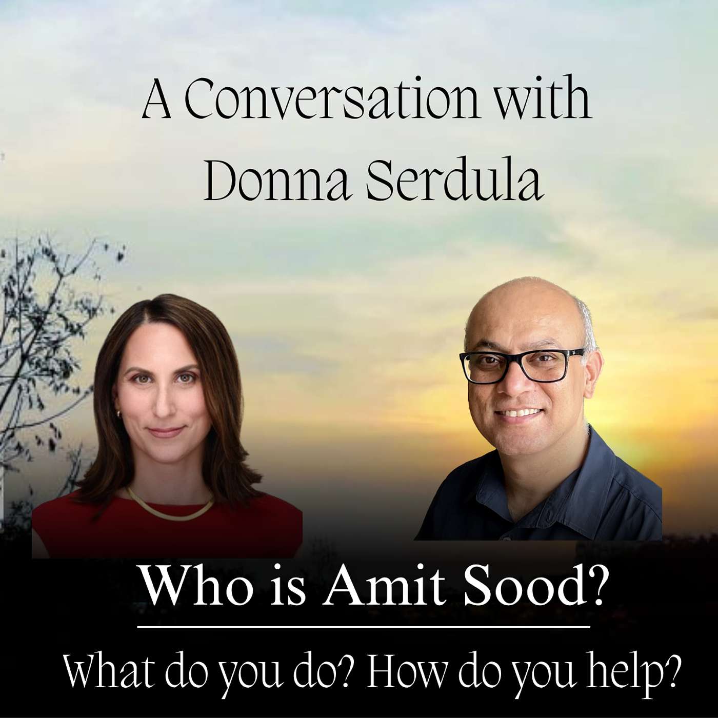Amit Sood, Coach on Life and Spiritual Fulfilment