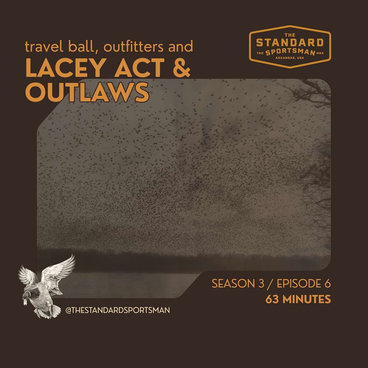 Travel Ball, Outfitters, the Lacey Act & Outlaws episode artwork