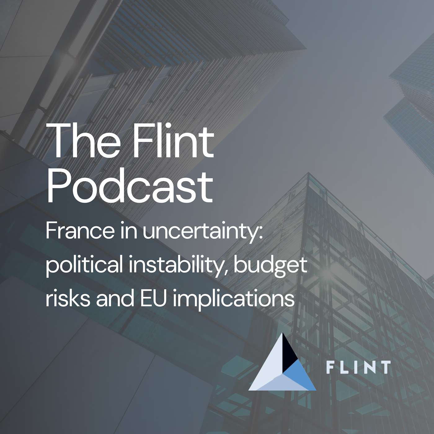France in uncertainty: political instability, budget risks and EU implications episode artwork