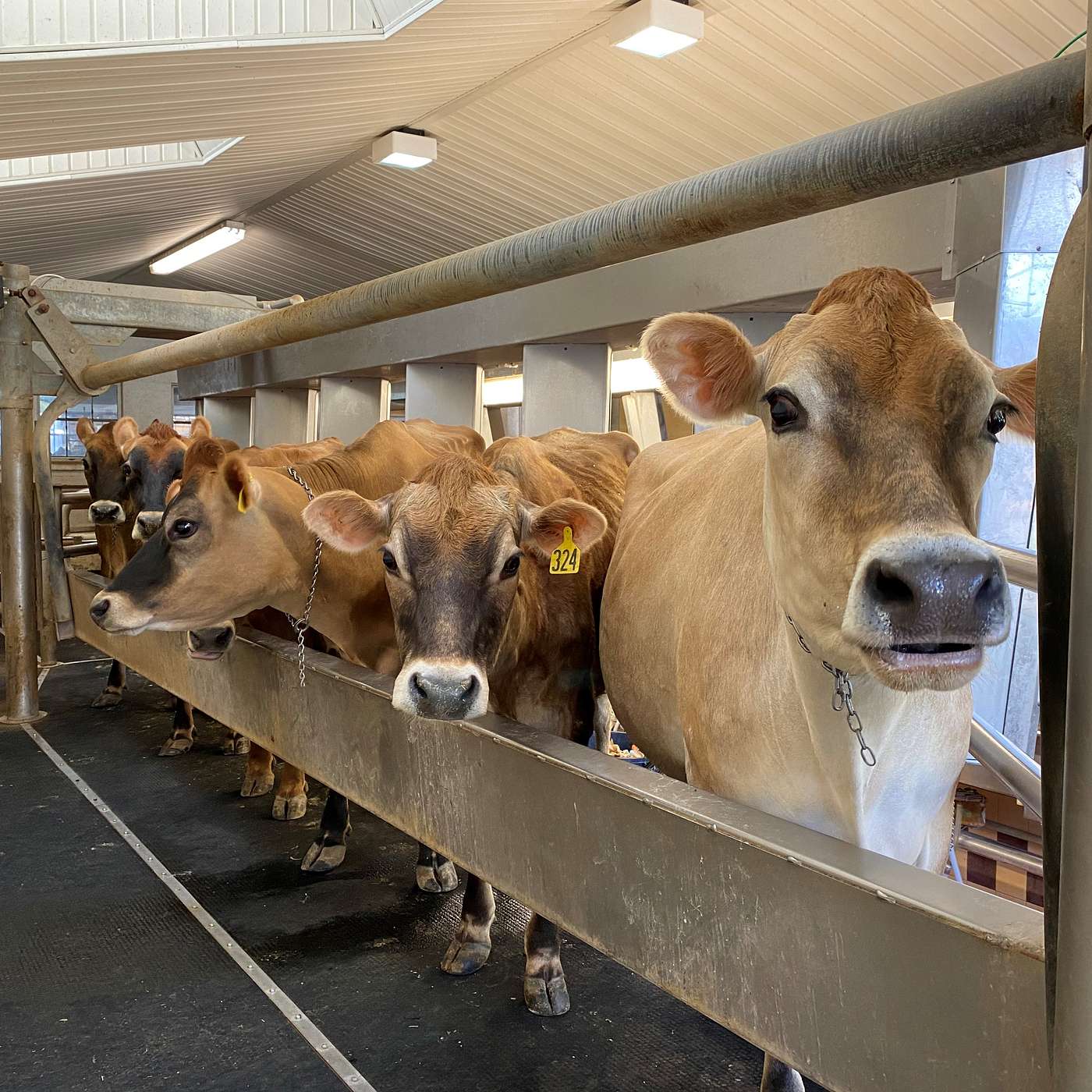 Farm Stress Real Talk with Penn State Extension