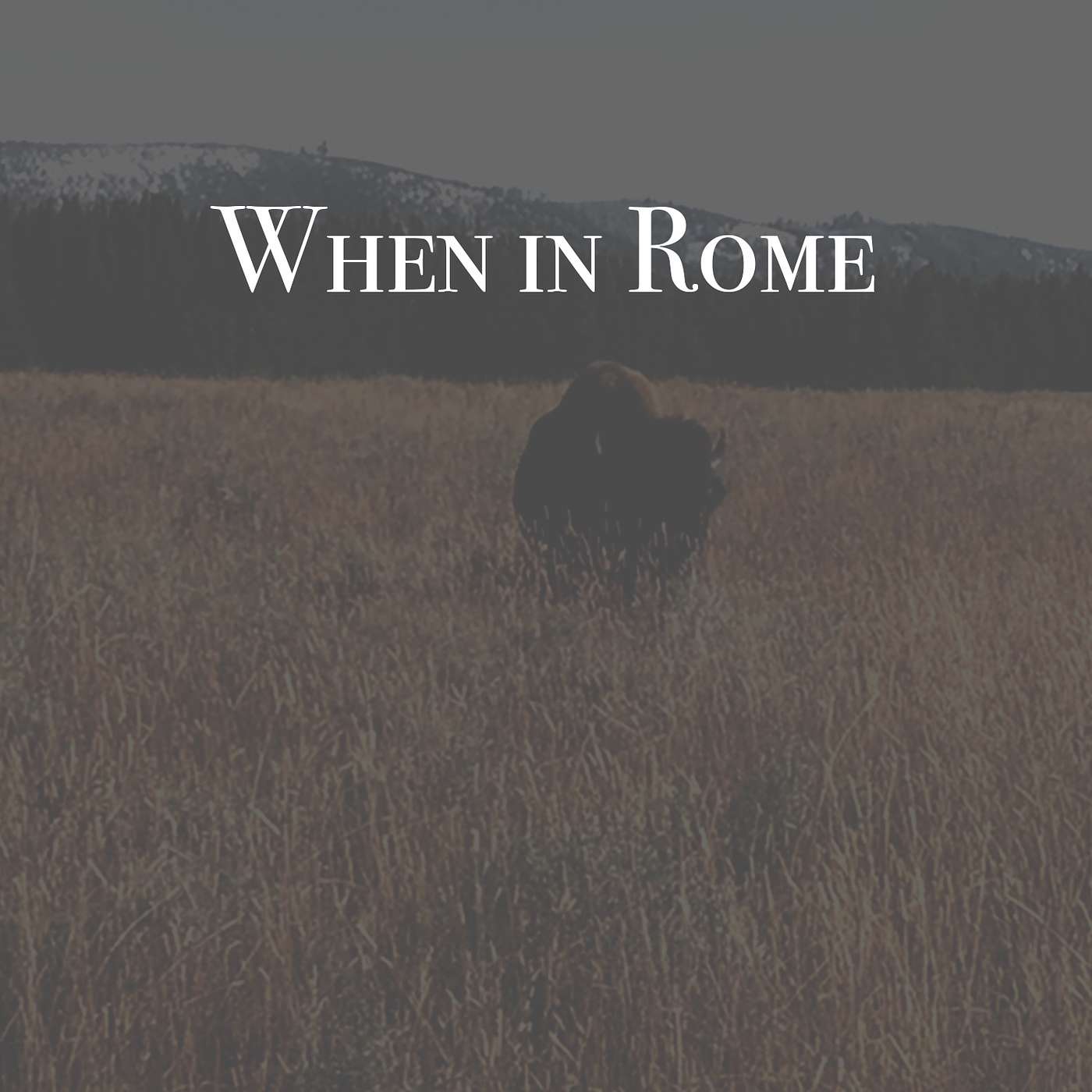 When in Rome