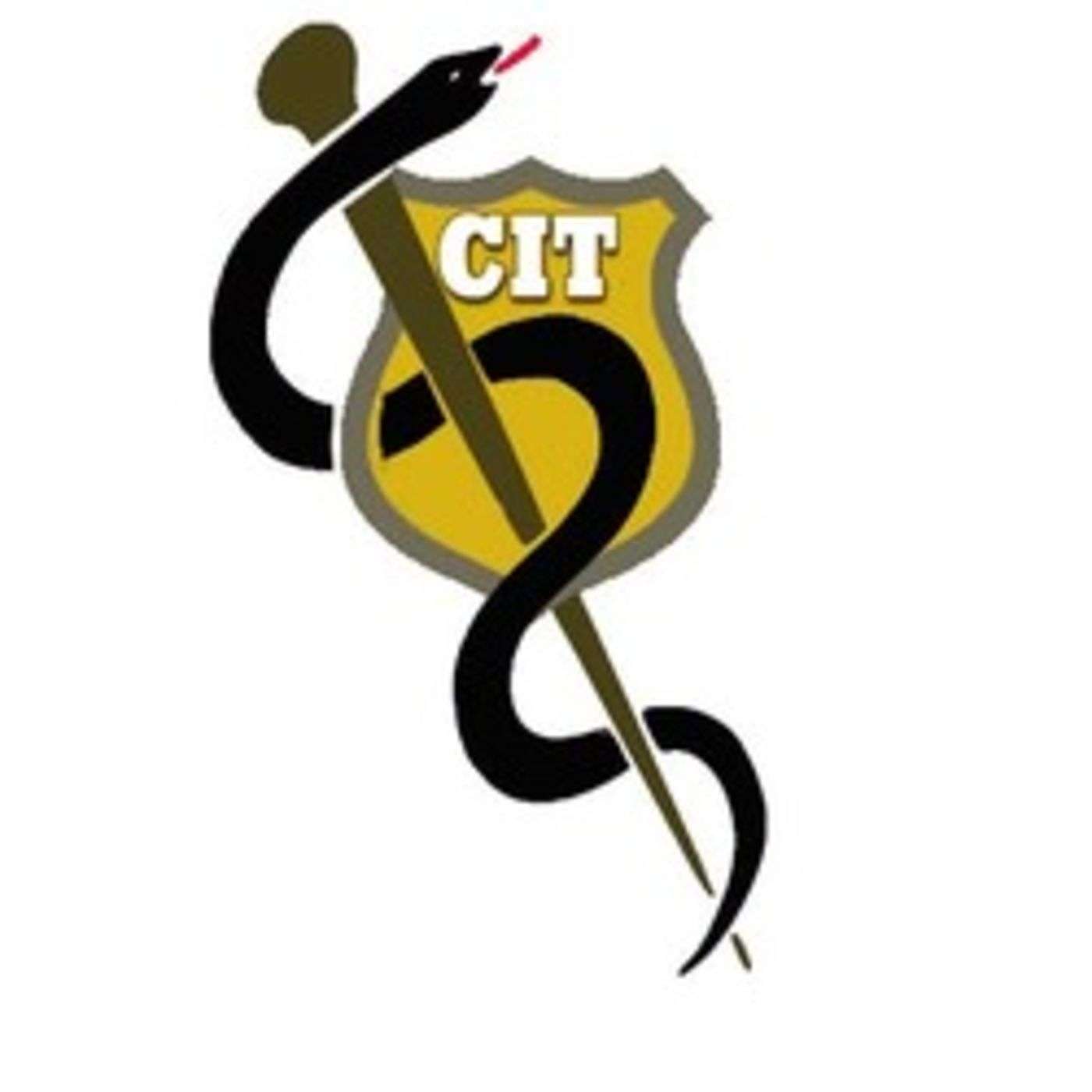 Crisis Intervention Team (CIT) Minute