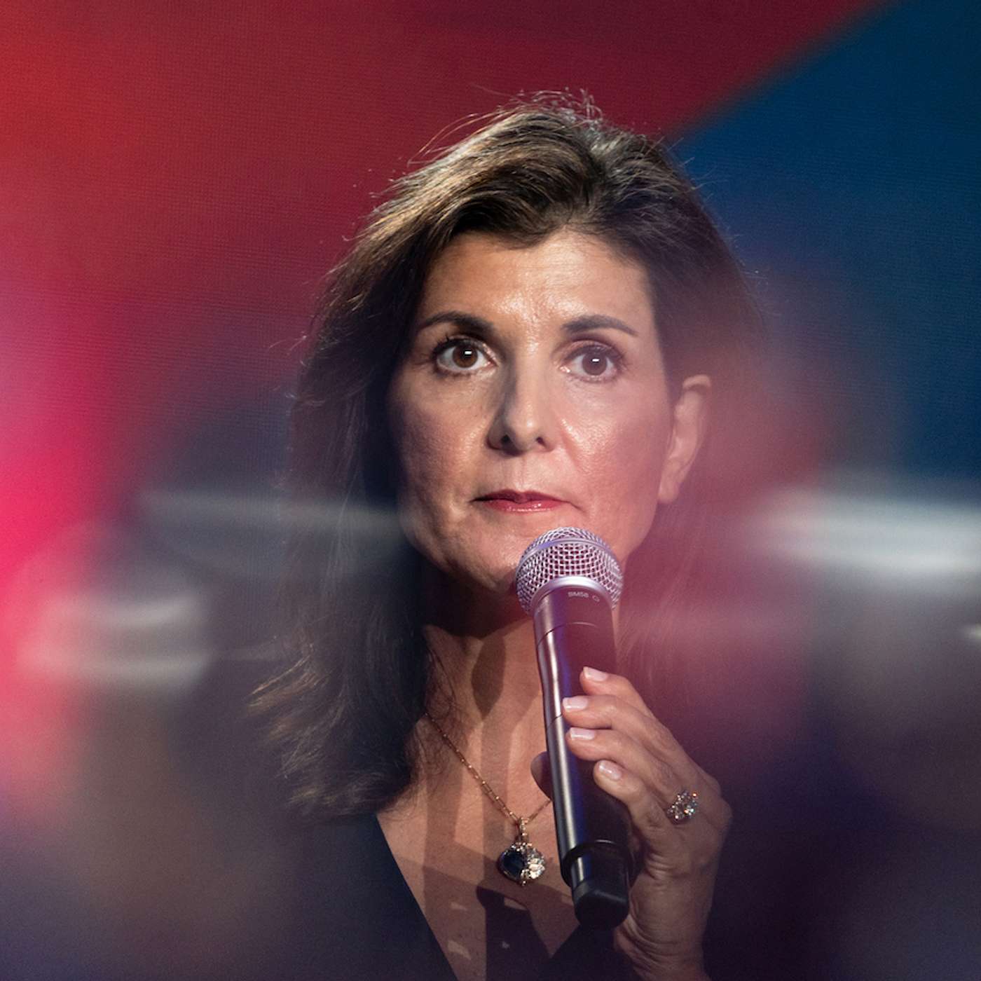Bite-Size Politics