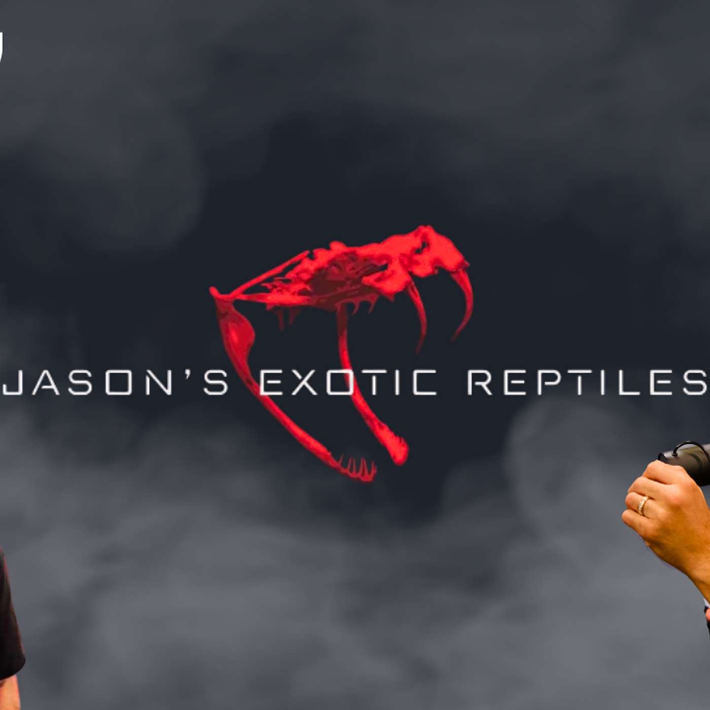 REPTILE MARKET CRASH OR REPTILE BREEDER CRASH? | THE TRUTH ABOUT THE REPTILE MARKET | TRAP TALK LIVE