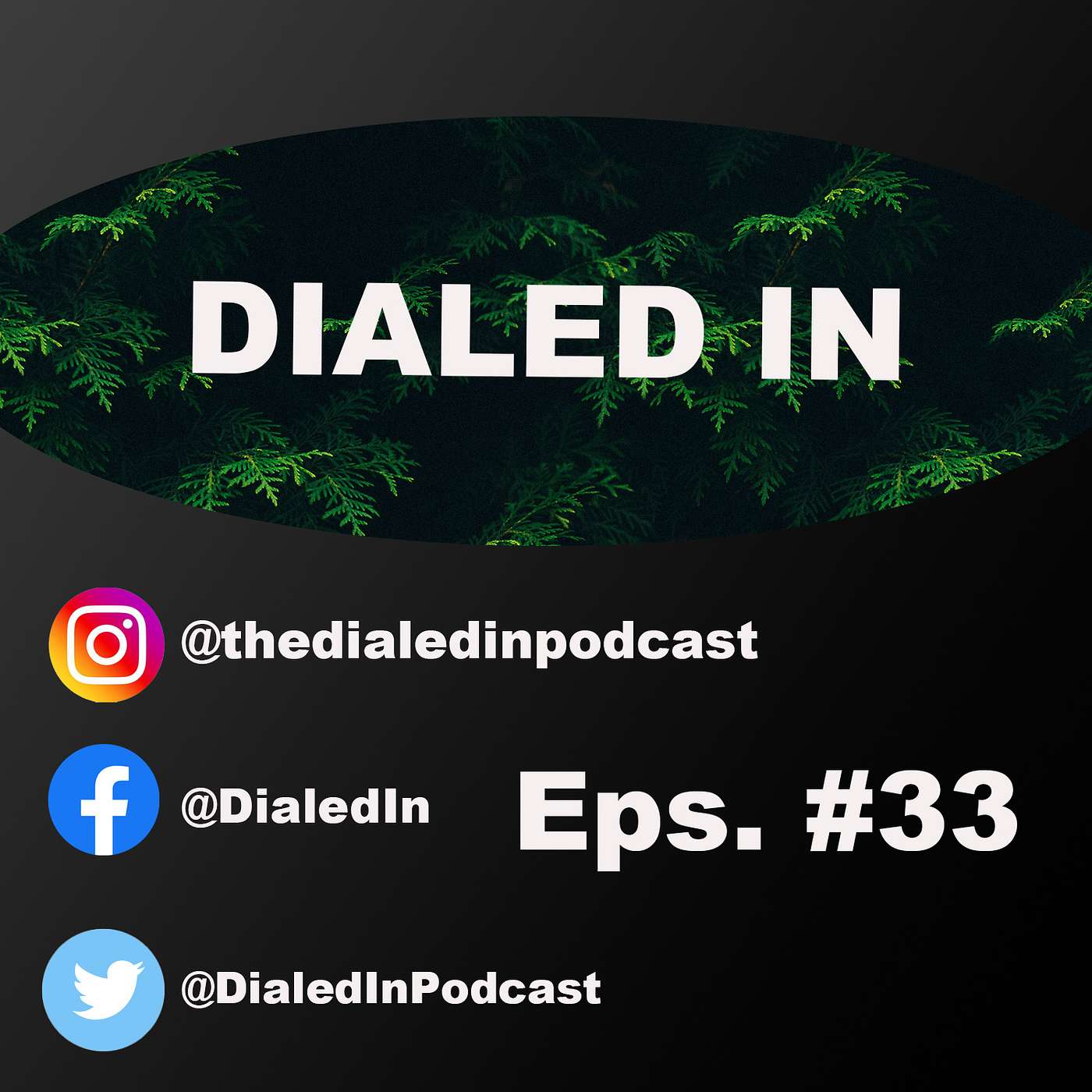 TheDialedInPodcast