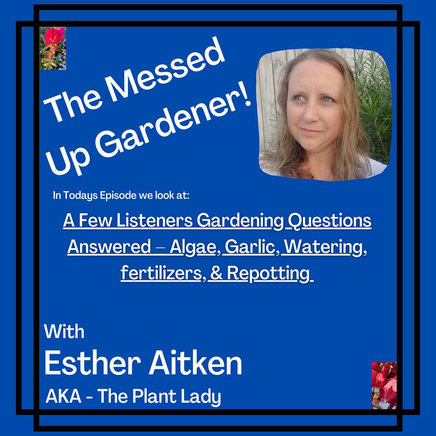 The Messed Up Gardener