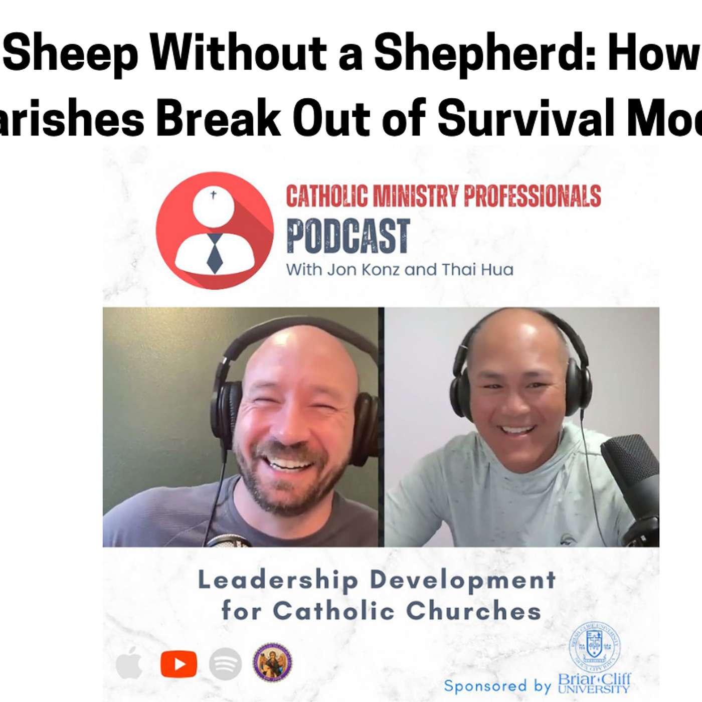 Sheep Without a Shepherd: How Parishes Break Out of Survival Mode episode artwork