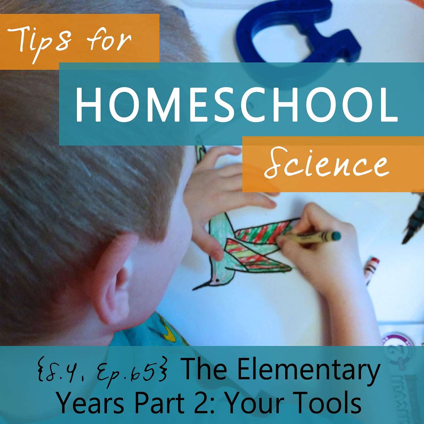 Tips for Homeschool Science Podcast from Elemental Science