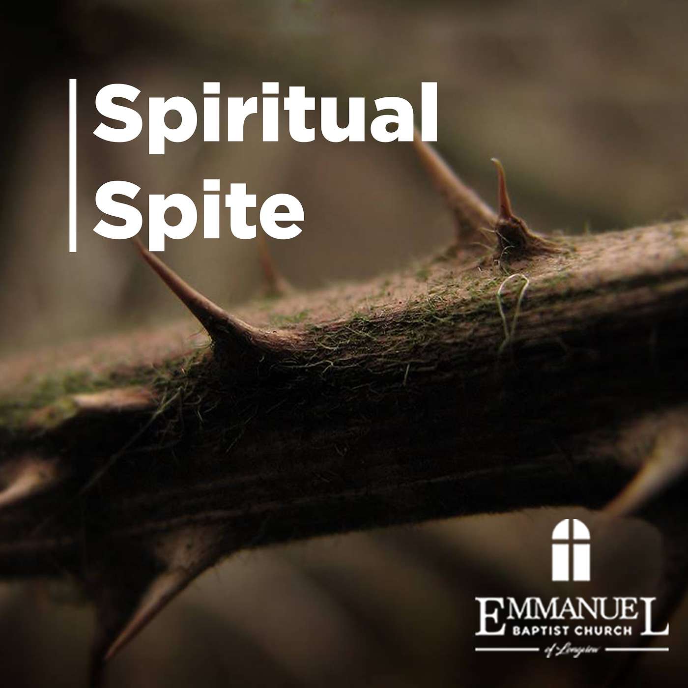 Spiritual Spite - Sunday PM 11/19/2023 - Pastor Bob Gray II episode artwork