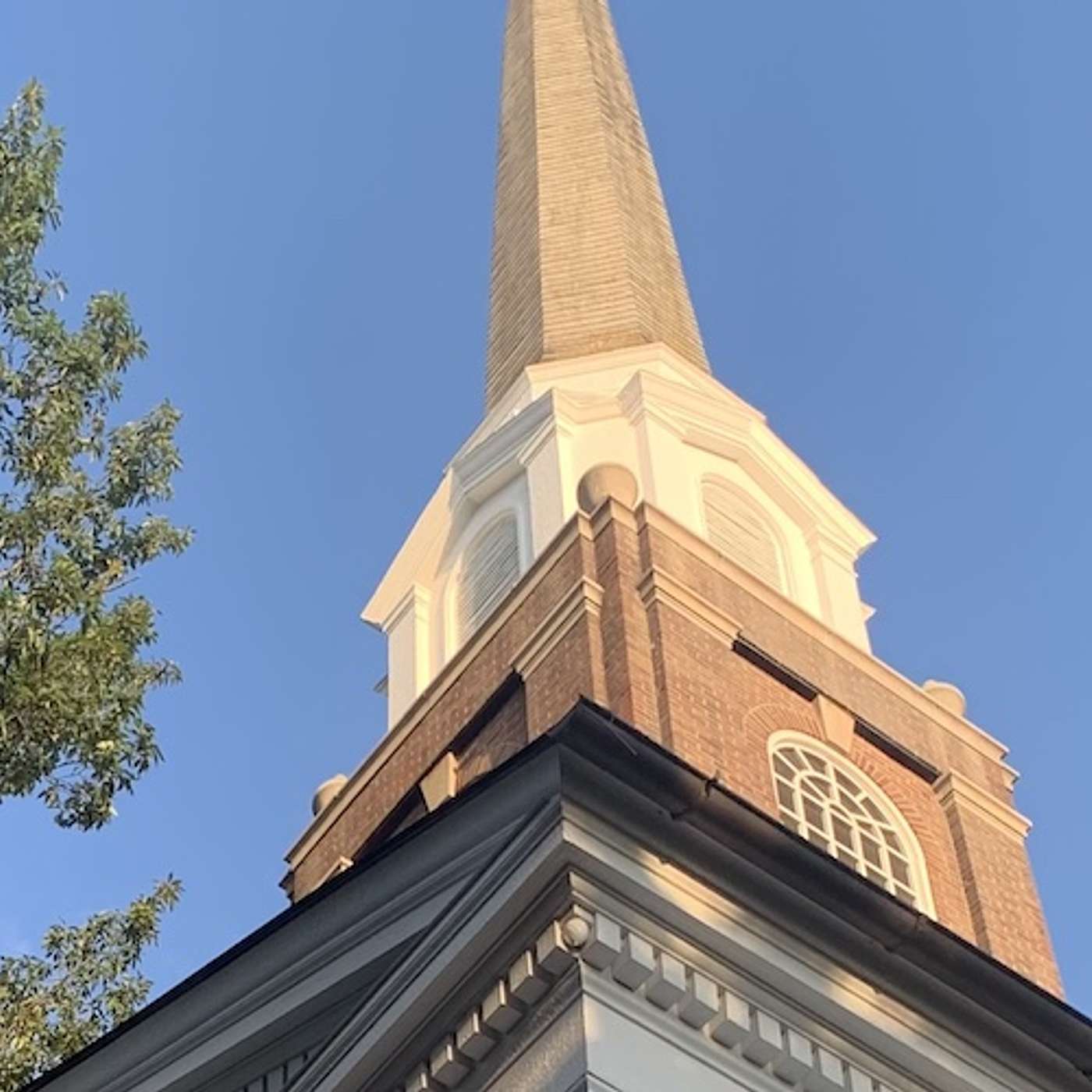 Westminster Talking the Text