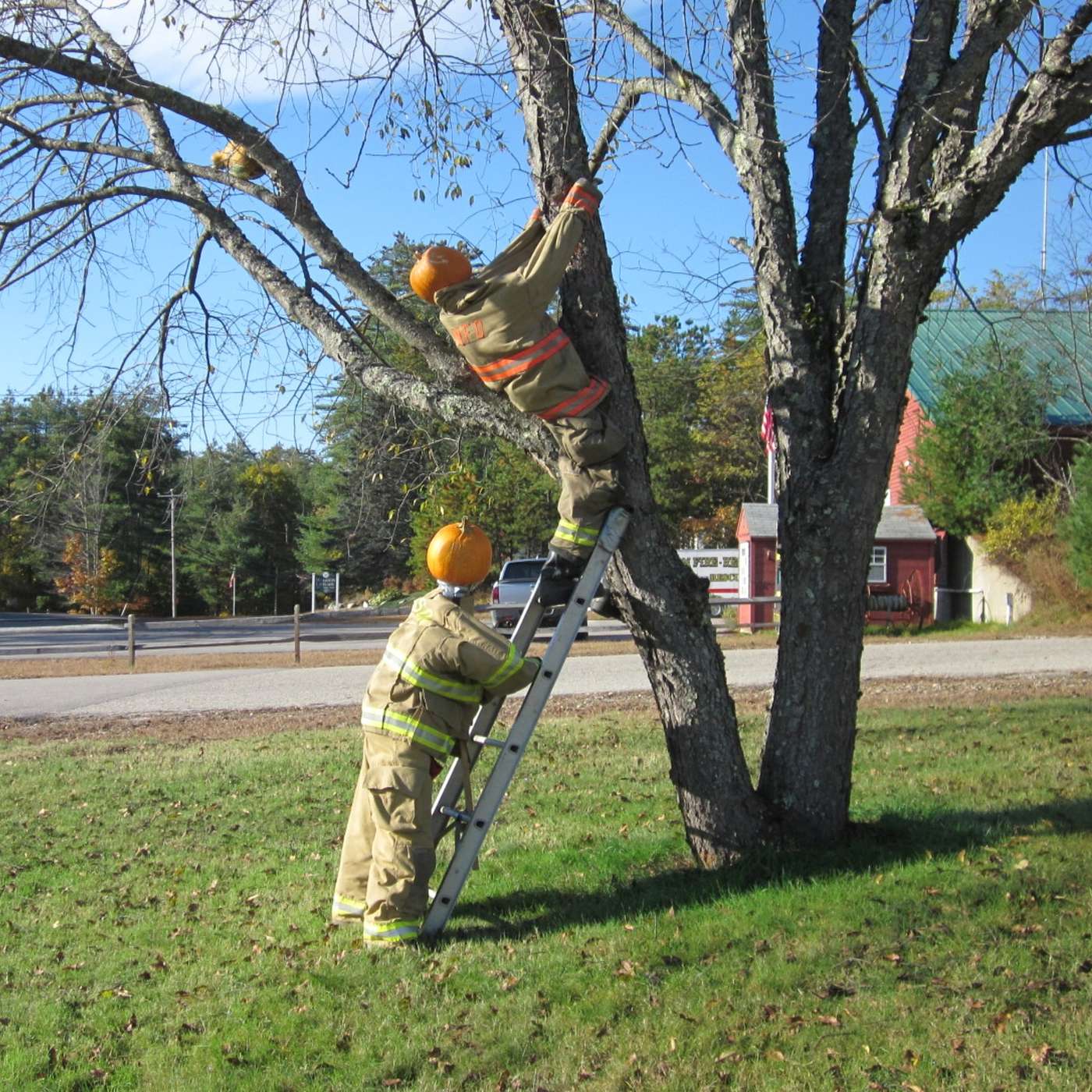 TO THE RESCUE