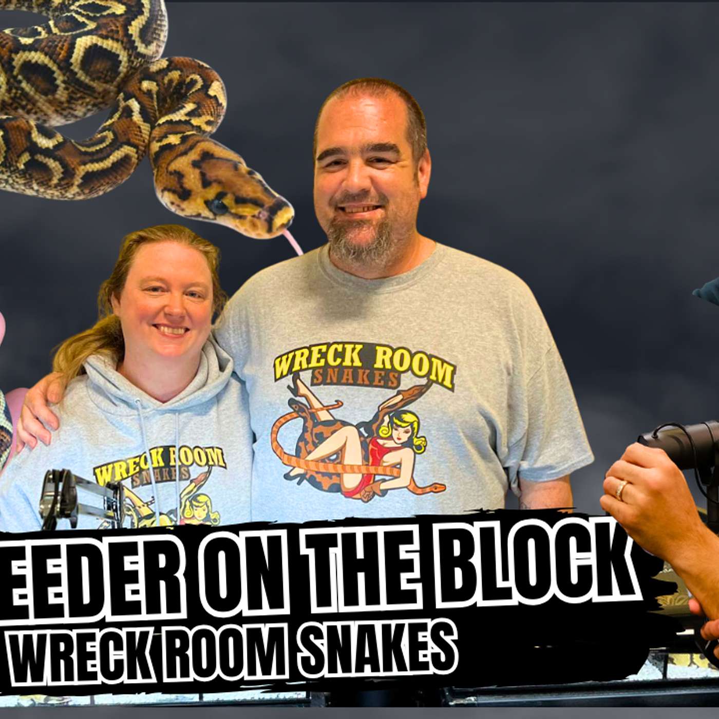 Top Quality Ball Python Projects You Must Check Out In 2026 | NBB Live