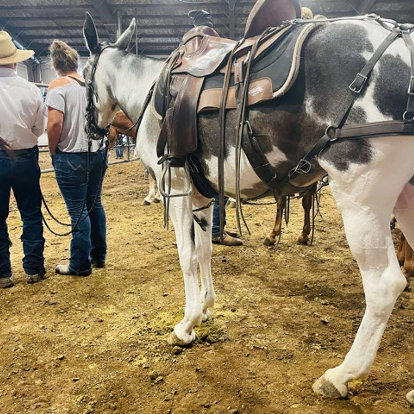 BRANDY BORNTREGER - WIFE OF MULE TRAINER DAVID BORNTREGER AT OZARK MULE DAYS 2021 episode artwork