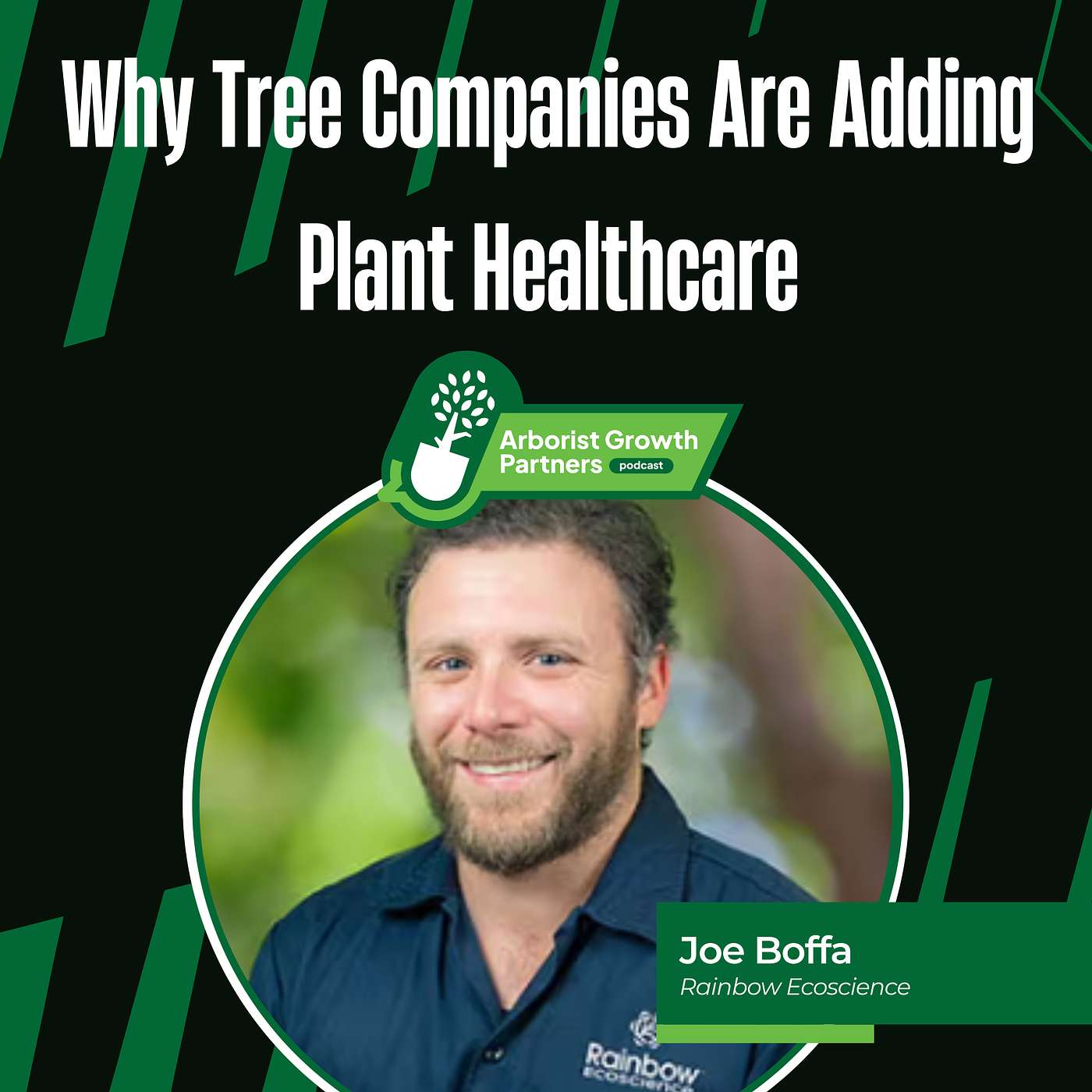 Why Tree Companies Are Adding Plant Healthcare. And Interview With Joe Boffa