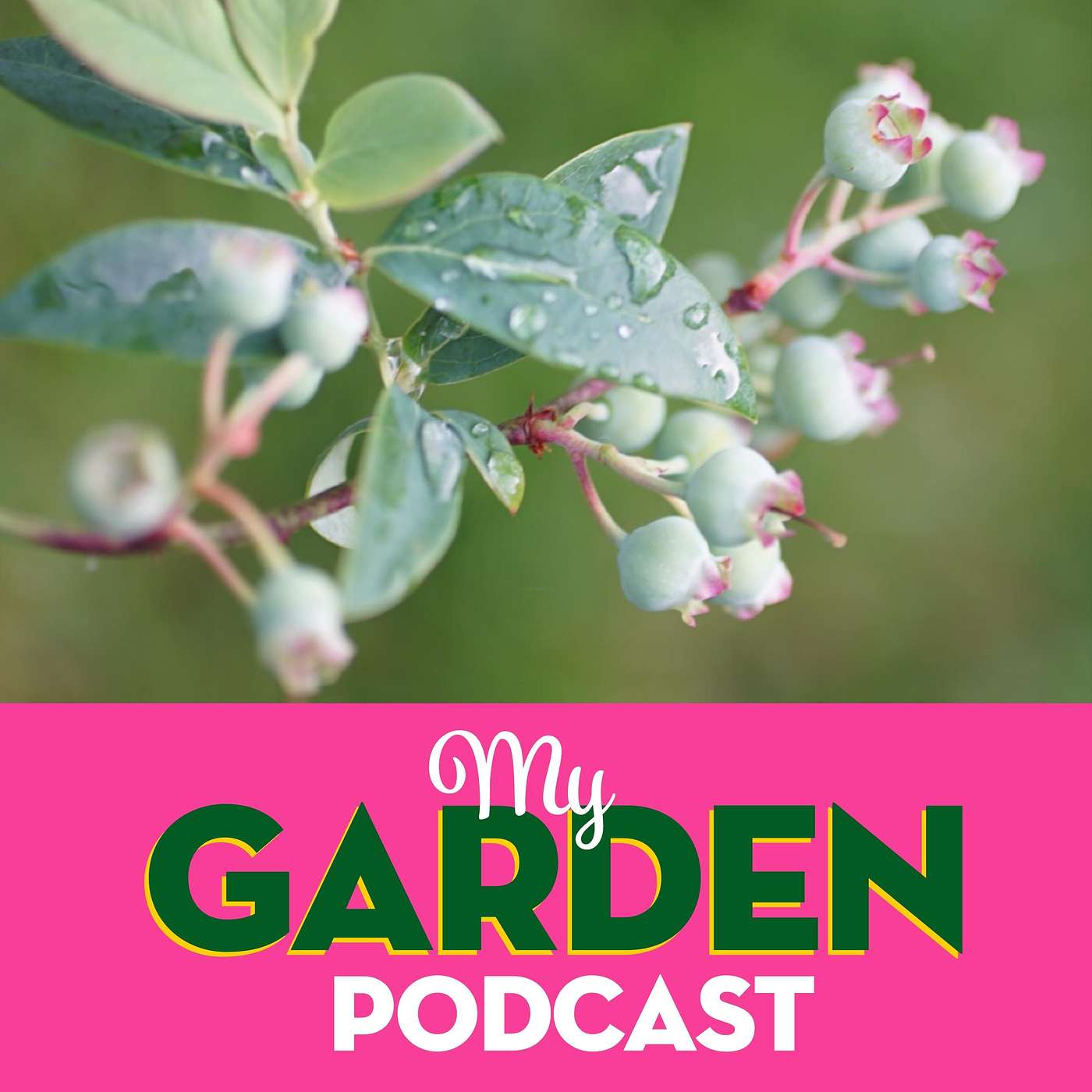 My Garden Podcast - Gardening Podcast