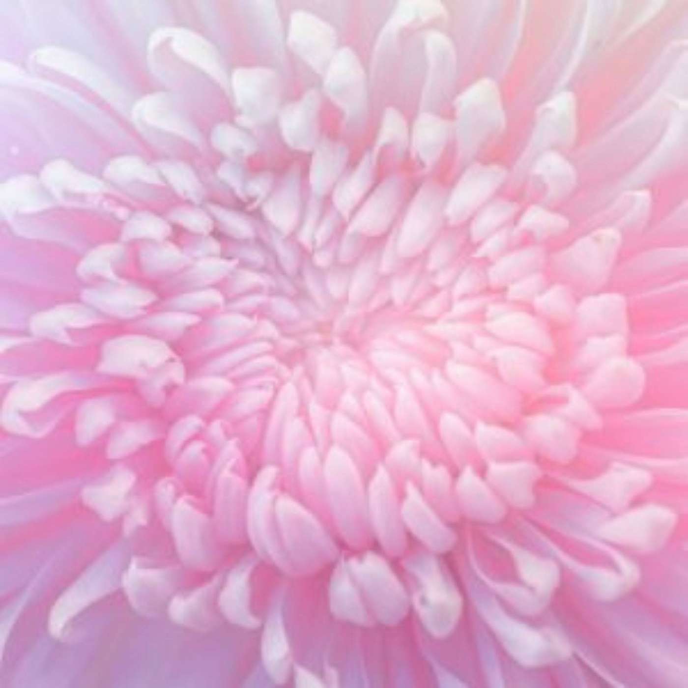 Break Free from the Burnout: Release Your Harmful Energetic Patterns