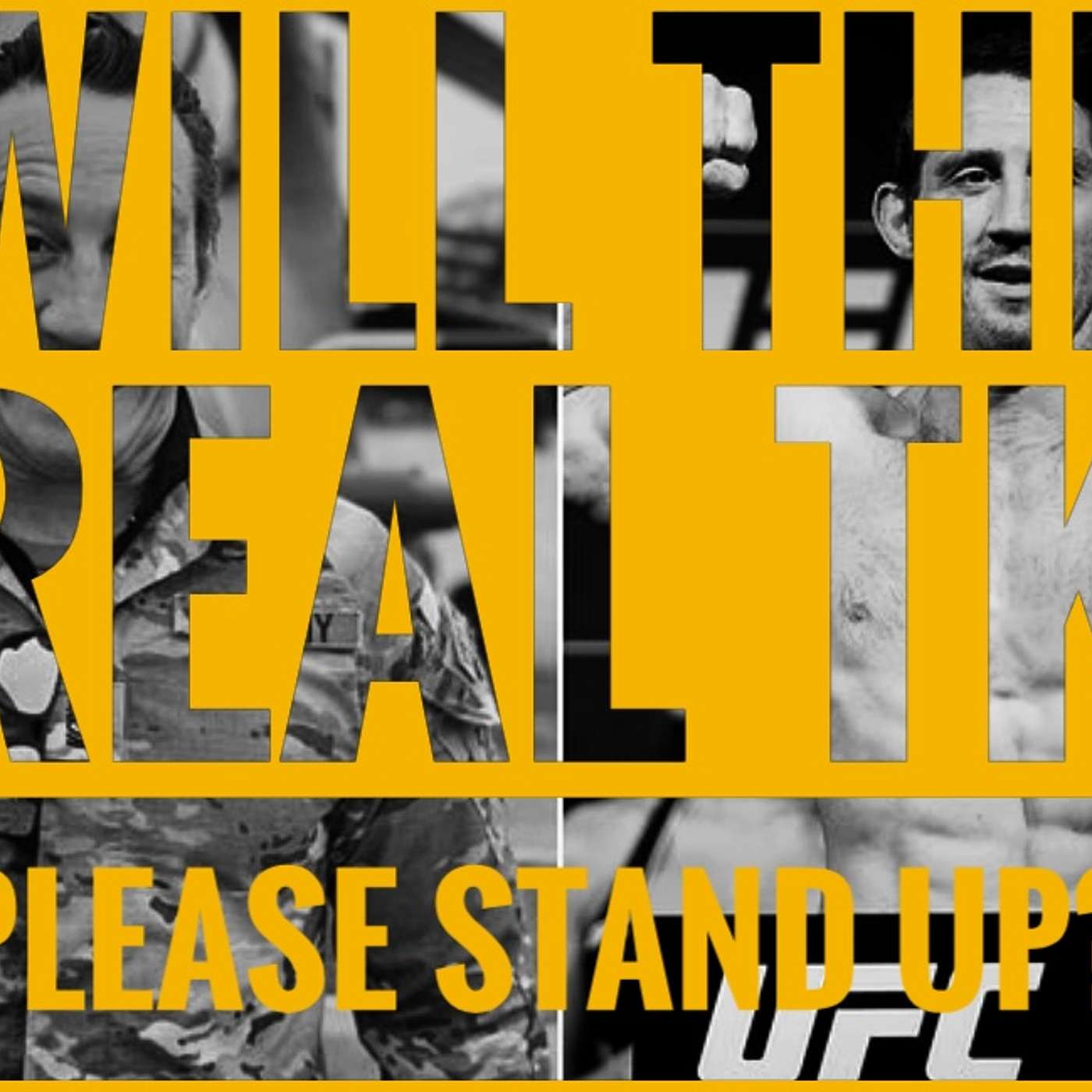 Lost in Stupidity Podcast