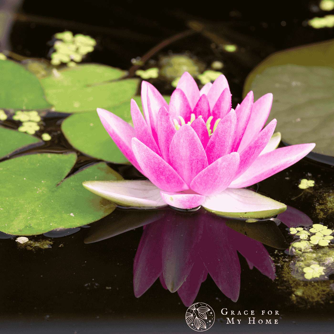 Beyond Appearances: Finding Wisdom in Unexpected Places