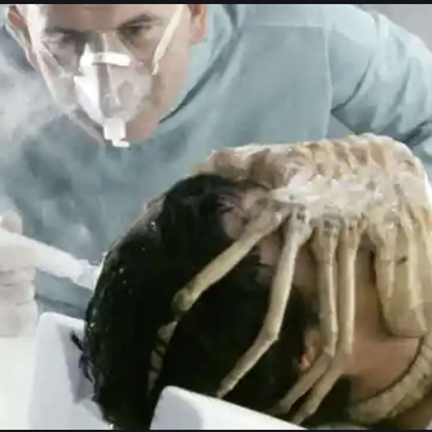 Alien FACEHUGGER Disabling Humanity. Luke 13:16 (Episode #271)