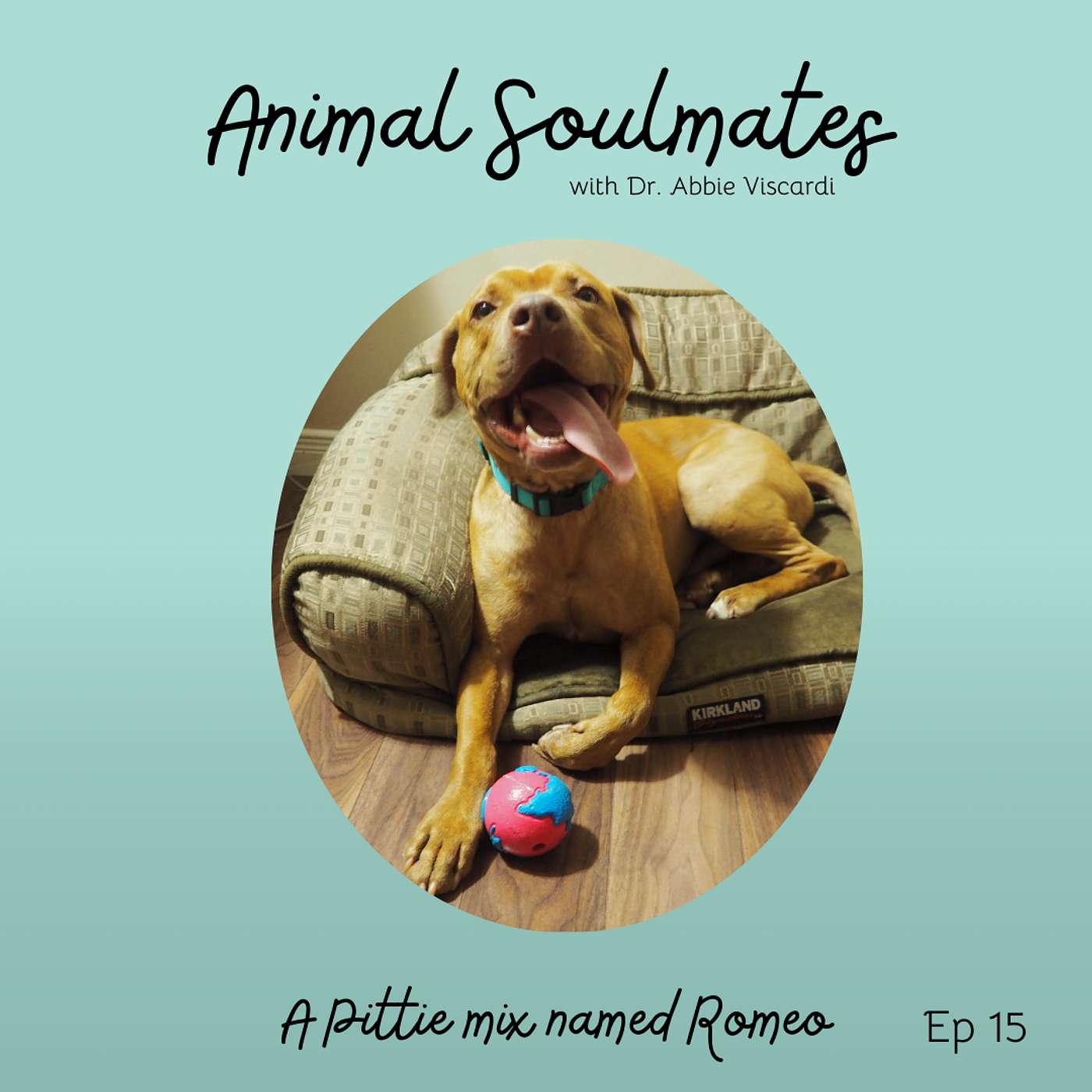 Animal Soulmates