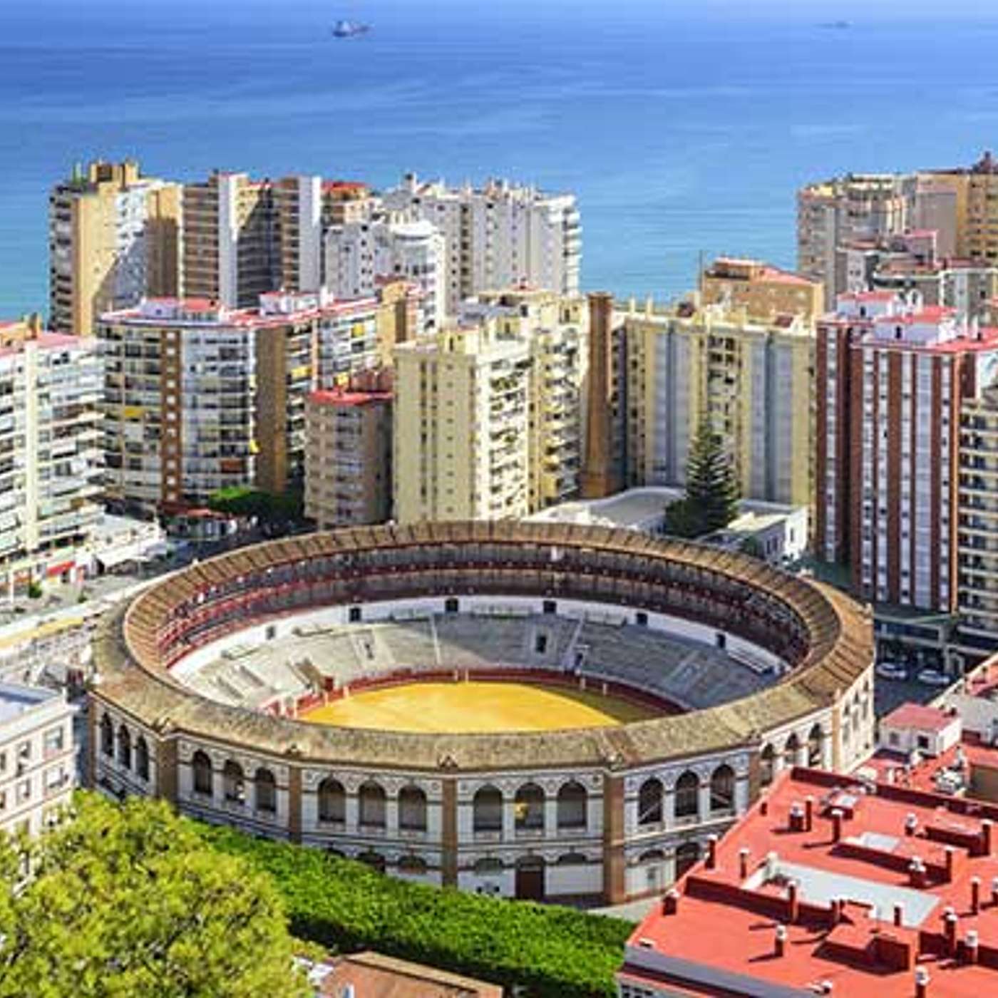 Sunday, December 22, 2024 - The Happy Holiday Edition!