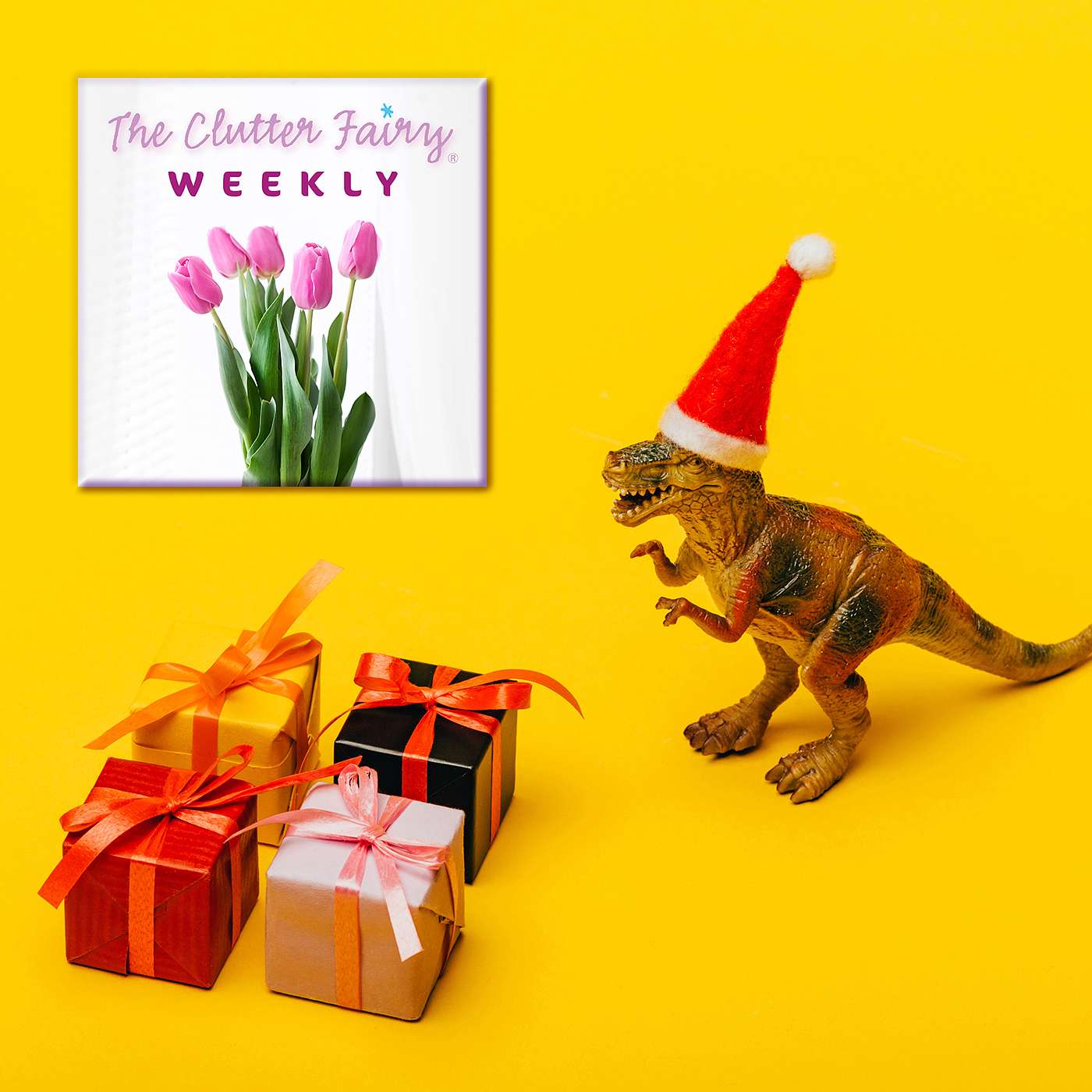 Don’t Buy the Hype: Conscientious Shopping in the Holiday Season - The Clutter Fairy Weekly #283