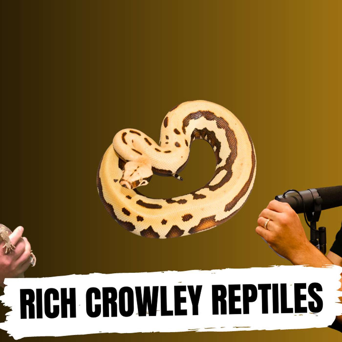 Rich Crowley's feelings about the reptile industry in 2023