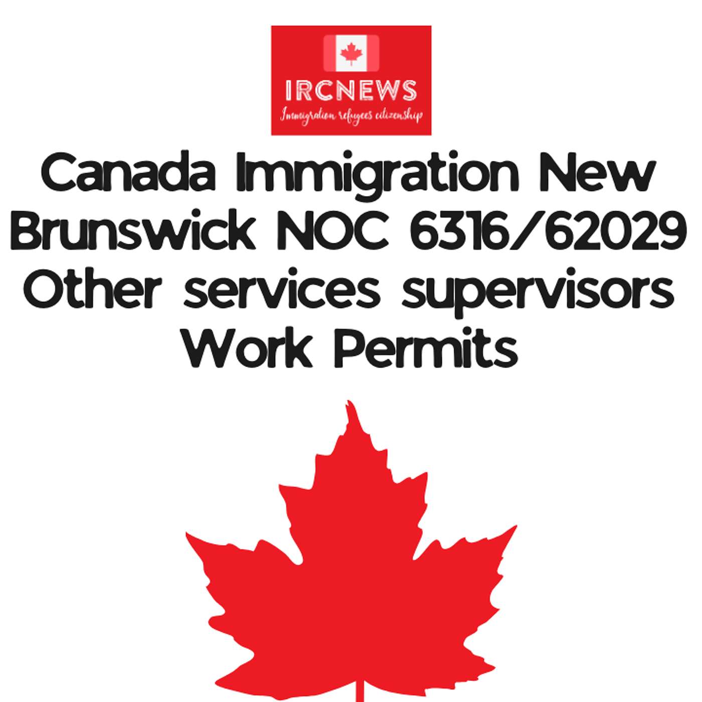 Canada Immigration New Brunswick NOC 6316/62029 Other services supervisors Work Permits episode artwork