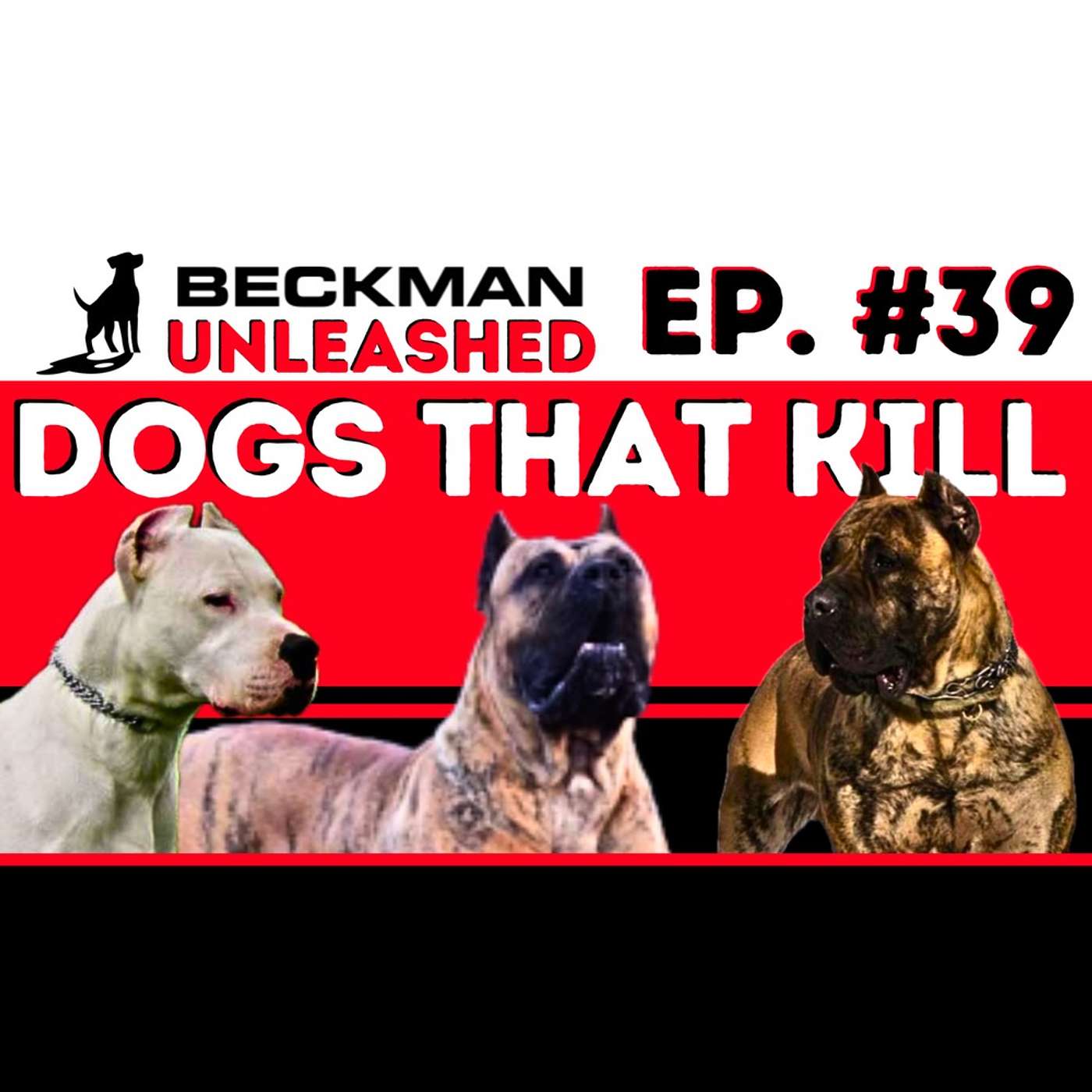 Ep. 39 - Why do some dogs kill people, honest talk with master dog trainer & YouTuber Garret Wing