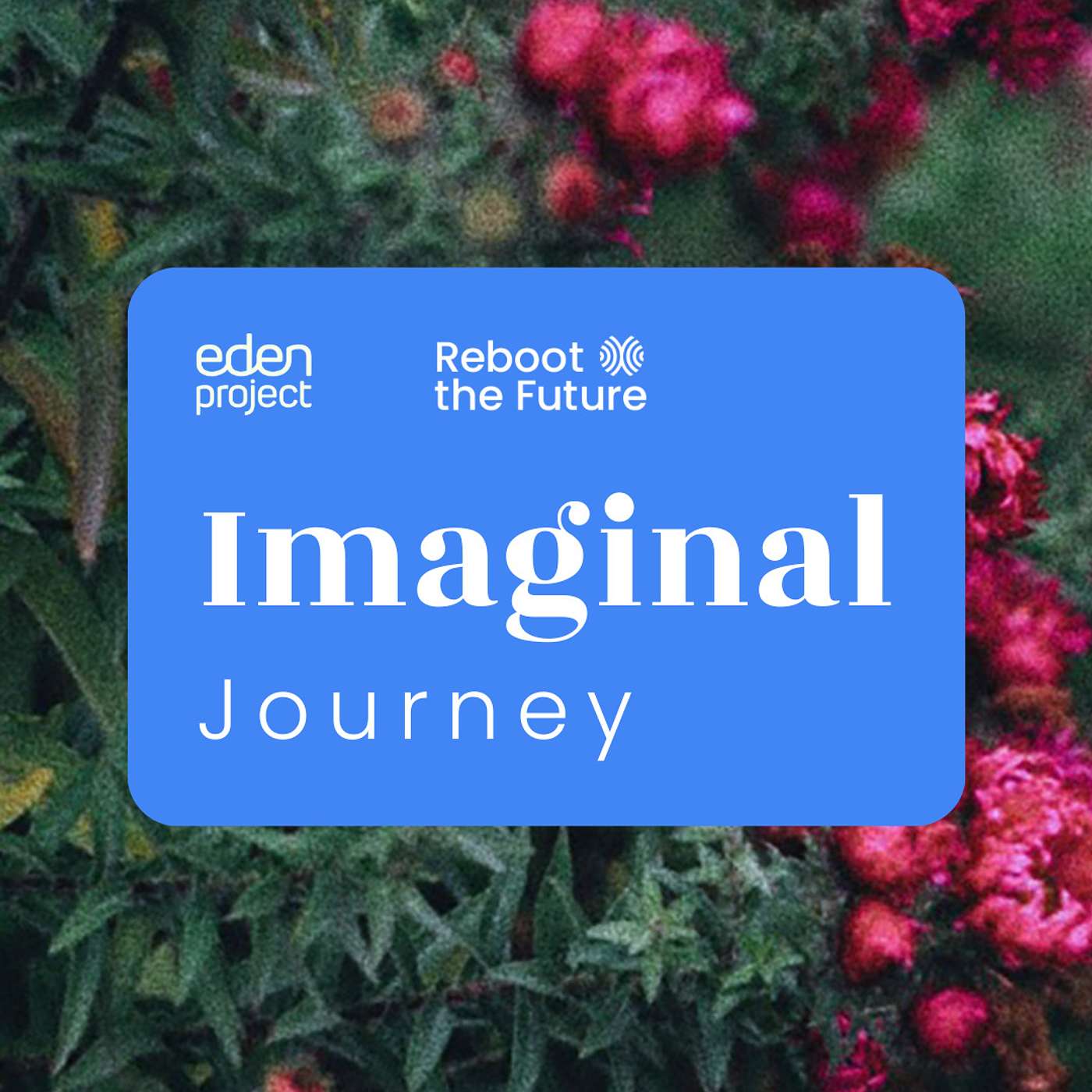 Imaginal Journey with Kim Polman and Tim Smit Imaginal Journey with Kim Polman and Tim Smit