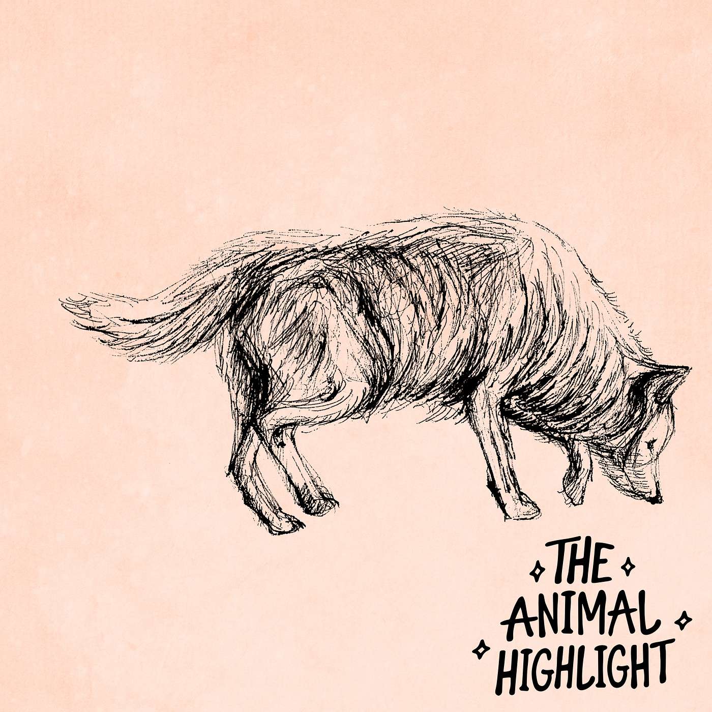 The Animal Highlight