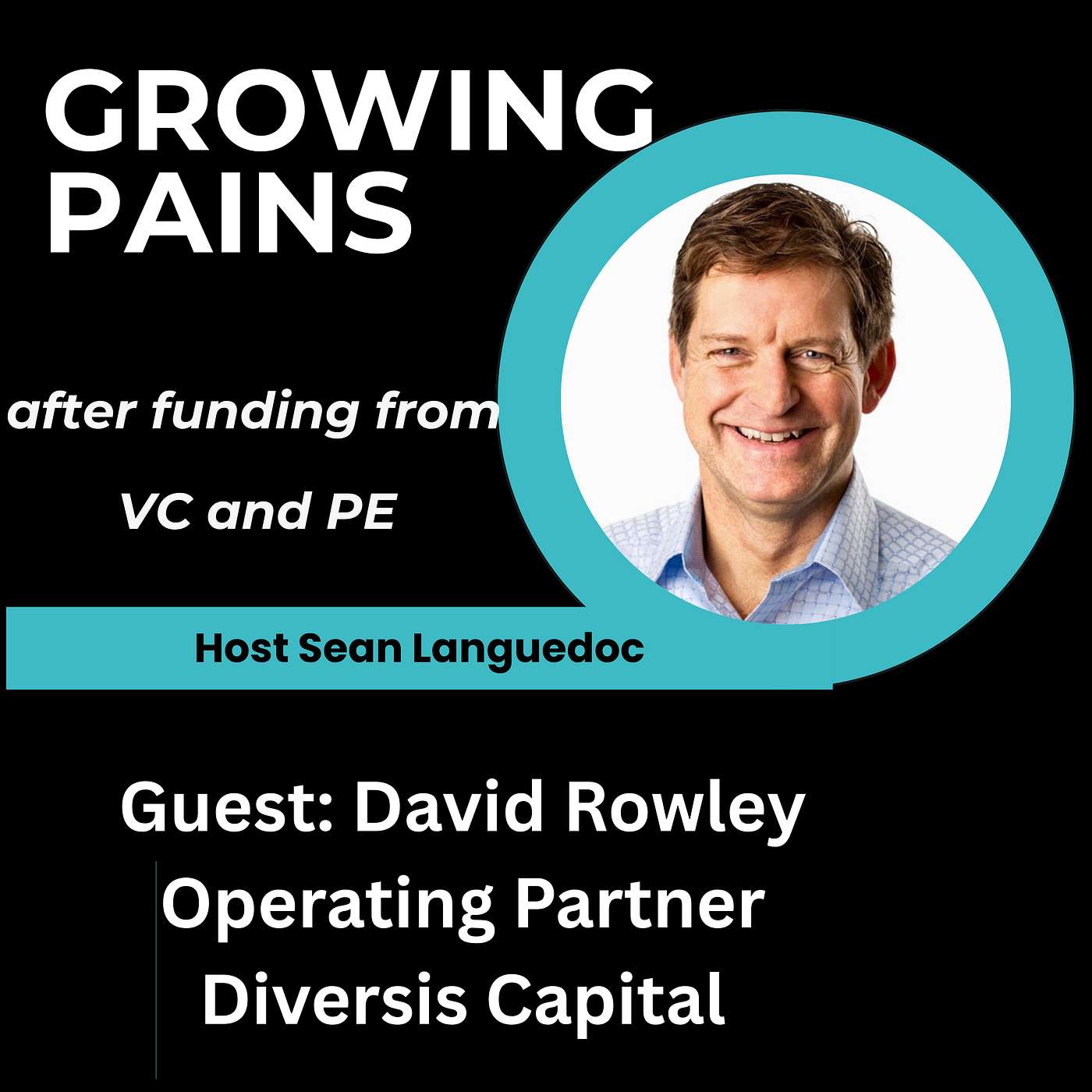 David Rowley Diversis Capital; The first 100 days and (Tech Team) Due Diligence David Rowley Diversis Capital; The first 100 days and (Tech Team) Due Diligence