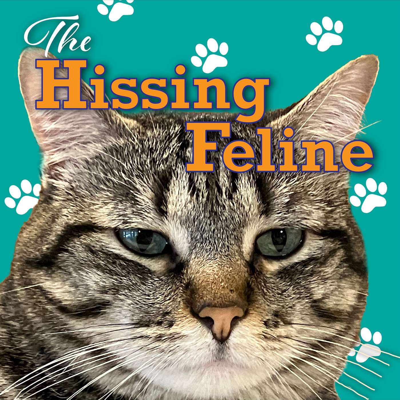 Exciting changes coming soon to The Hissing Feline podcast