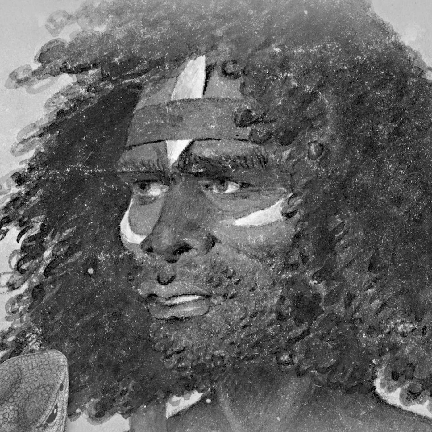 How Aboriginal peoples brought Australian animals to the attention of the world episode artwork
