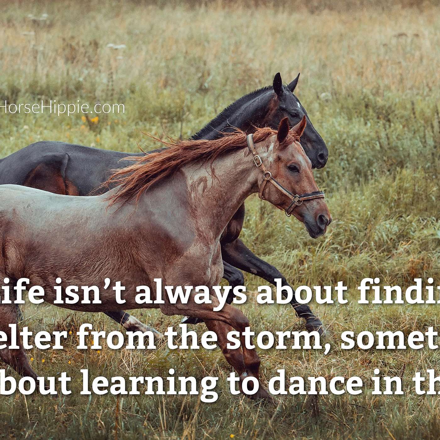 Dance in the Rain