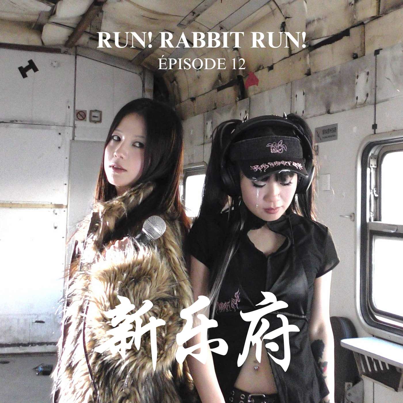 Épisode 12 - Run! Rabbit Run! 脱兔 episode artwork