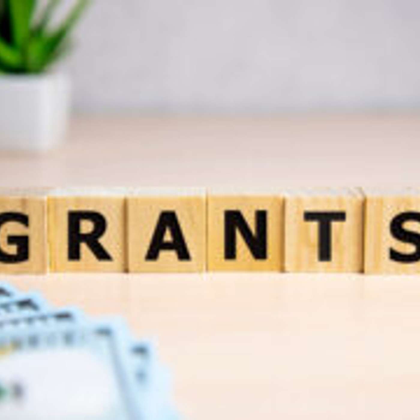 Surprise Neighborhood Grant Program Funding Approved episode artwork