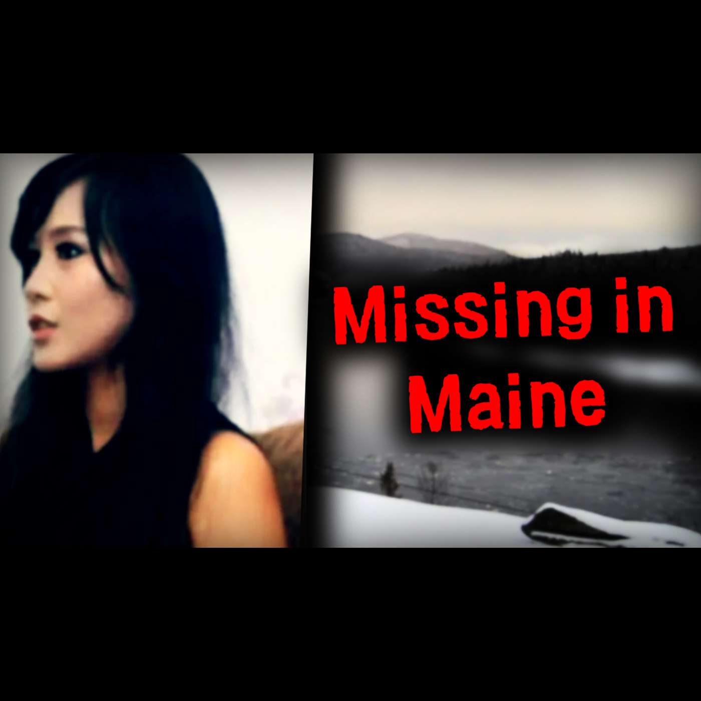 The Vanishing of Attiin Shaw The Vanishing of Attiin Shaw