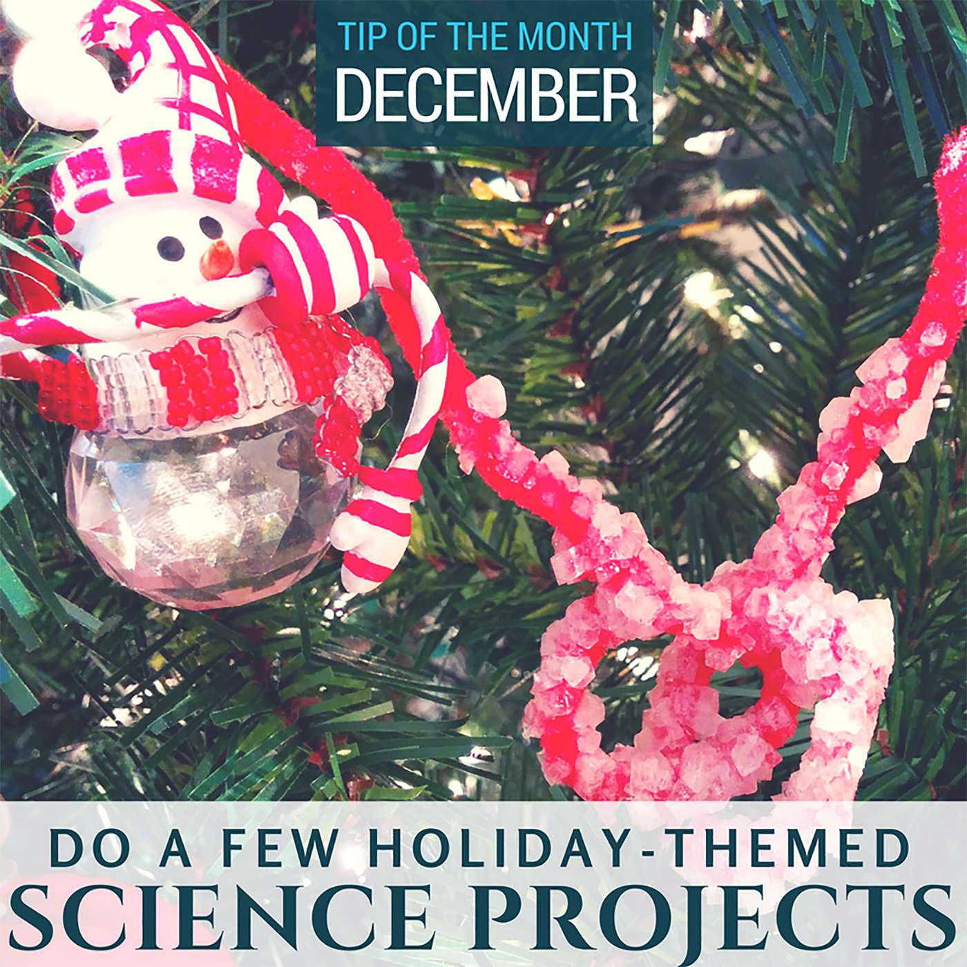 Tips for Homeschool Science Podcast from Elemental Science
