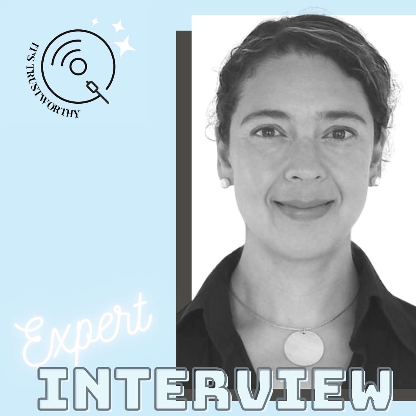 The global impact of the Digital Services Act: an interview with dr. Aída Ponce Del Castillo