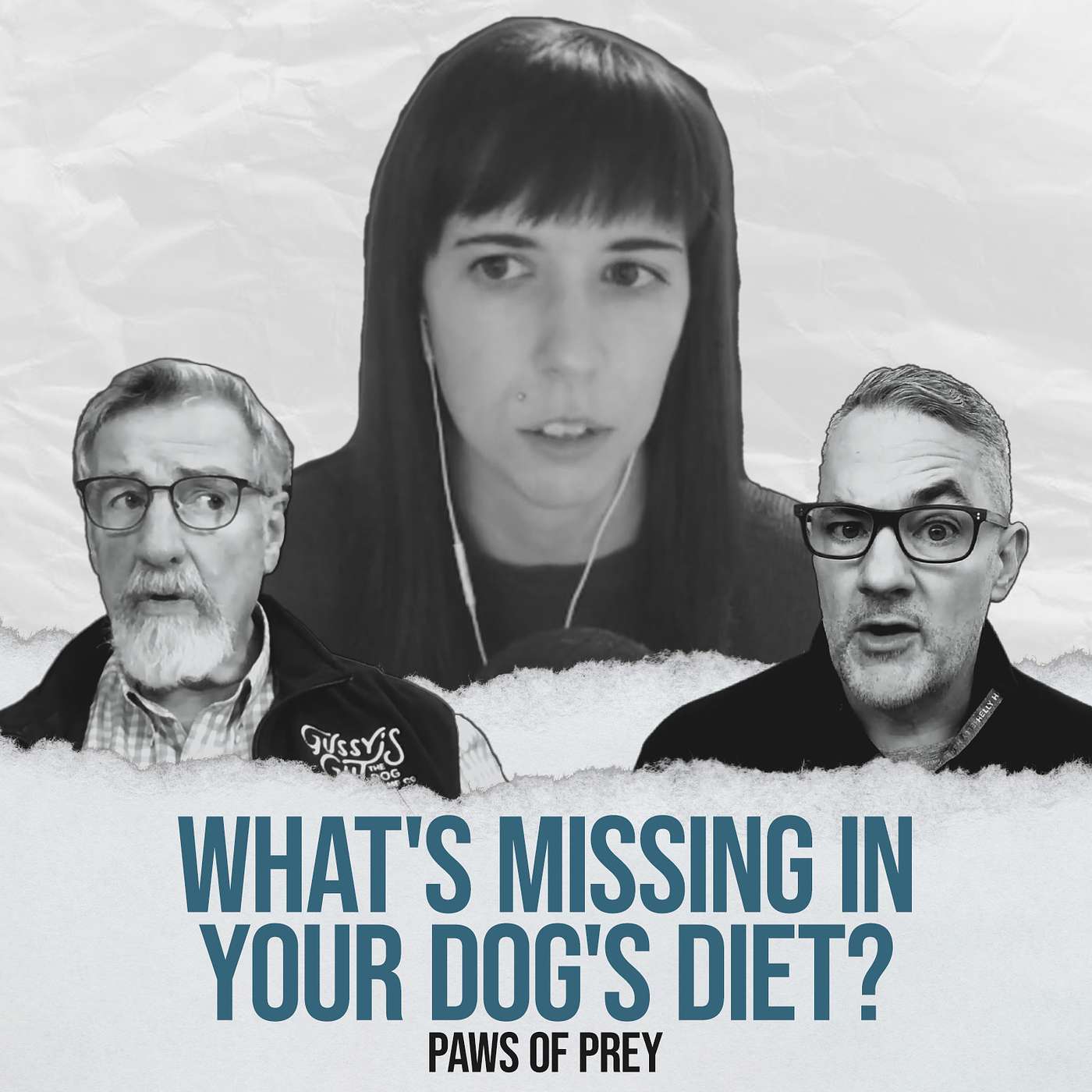 What's Missing In Your Dog's Diet? - with Mariah Pierson of Paws of Prey