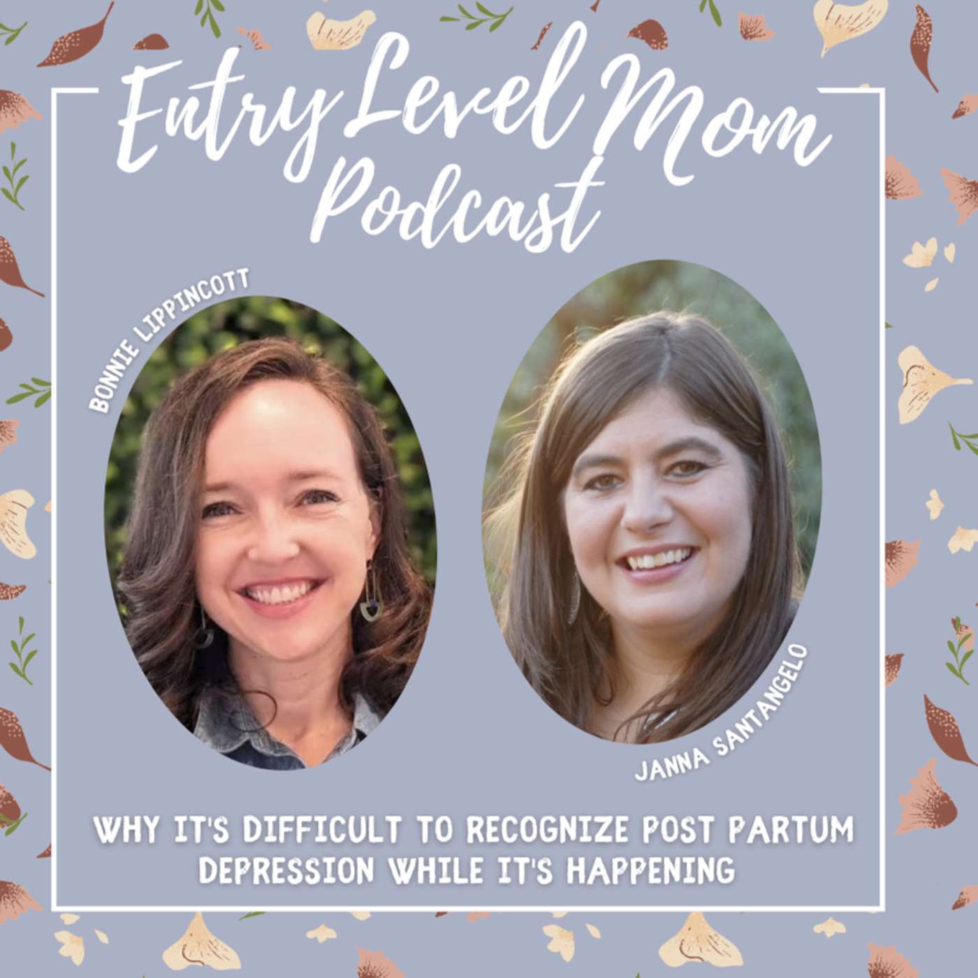 Entry Level Mom Podcast
