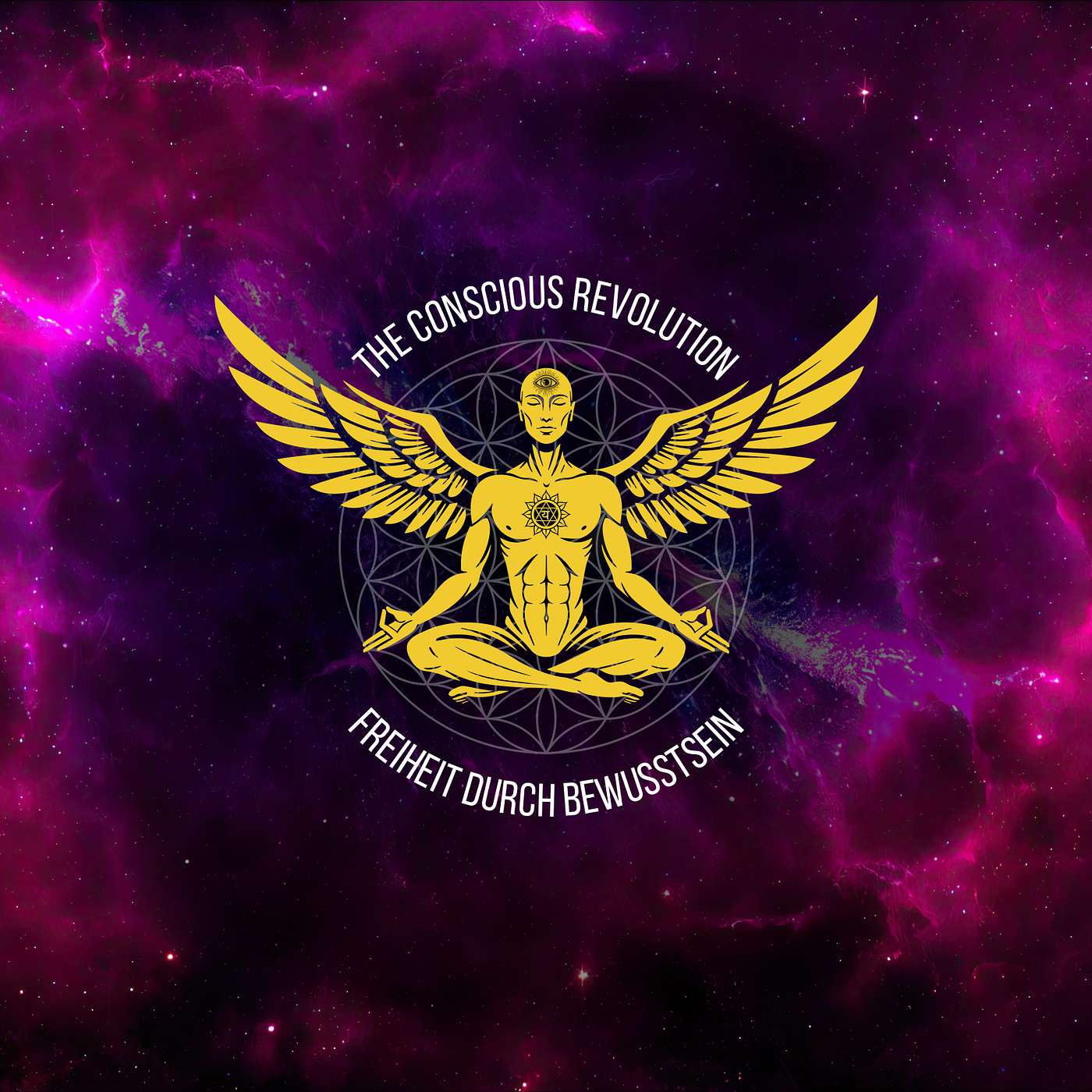 The Conscious Revolution - Freiheit durch Bewusstsein