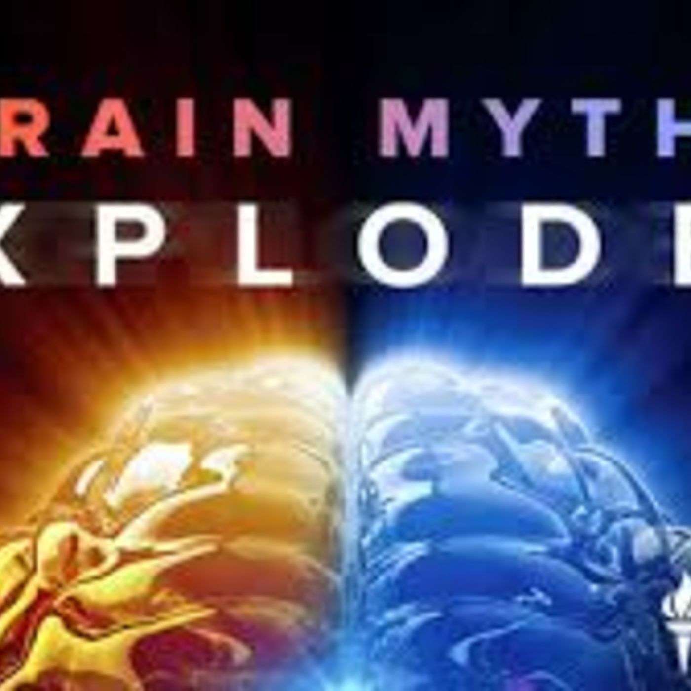 Fighters Guide to: Brain Myths, and Misconceptions Part 2 - LOF Podcast: Episode 100 episode artwork